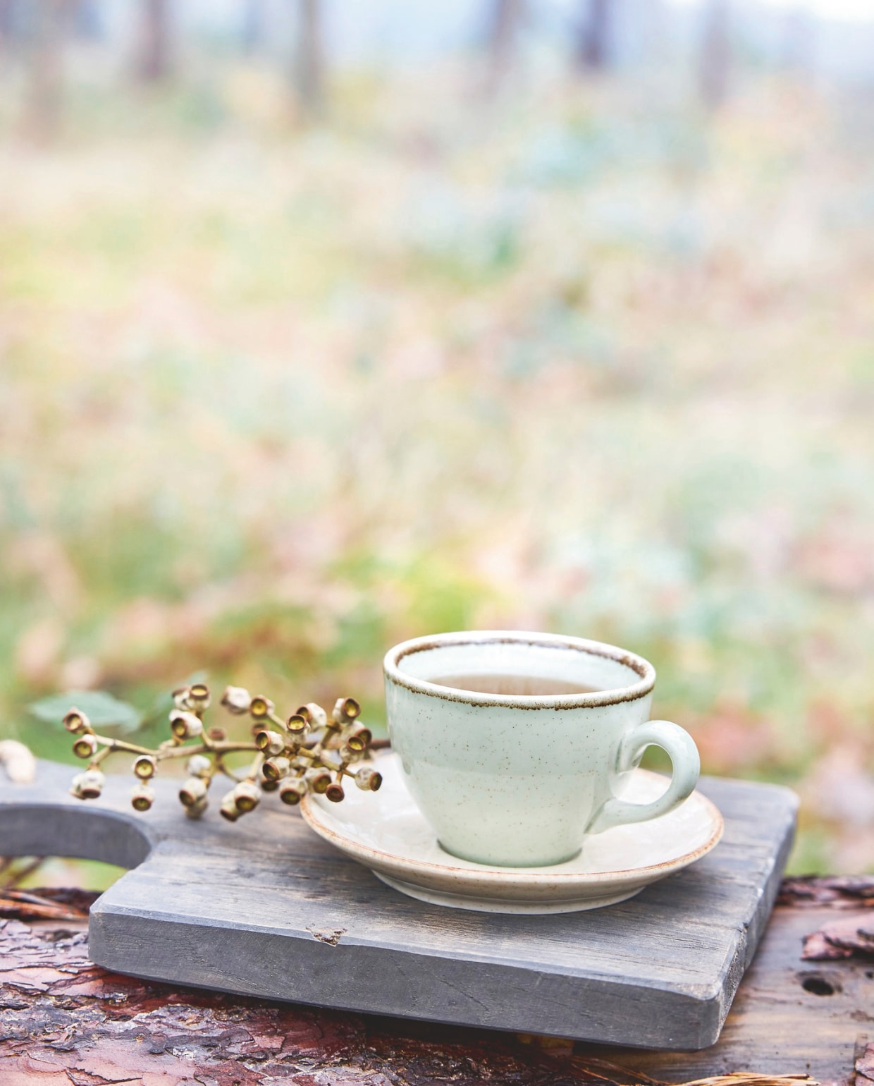 Zara Home kop-en-schotel, porselein, groen € 10,99 (zarahome.com). Aura Peeperkorn snijplank, hout € 33,- (aurapeeperkorn.com). vtwonen Landelijk 02-2026 | styling Sanne Ketelaar | fotografie Alexander van Berge