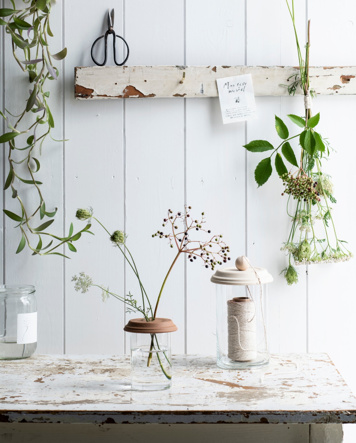 vtwonen Tuinspecial 2026 | productie Insidehomepage | styling Myla Griese | fotografie Louis Lemaire