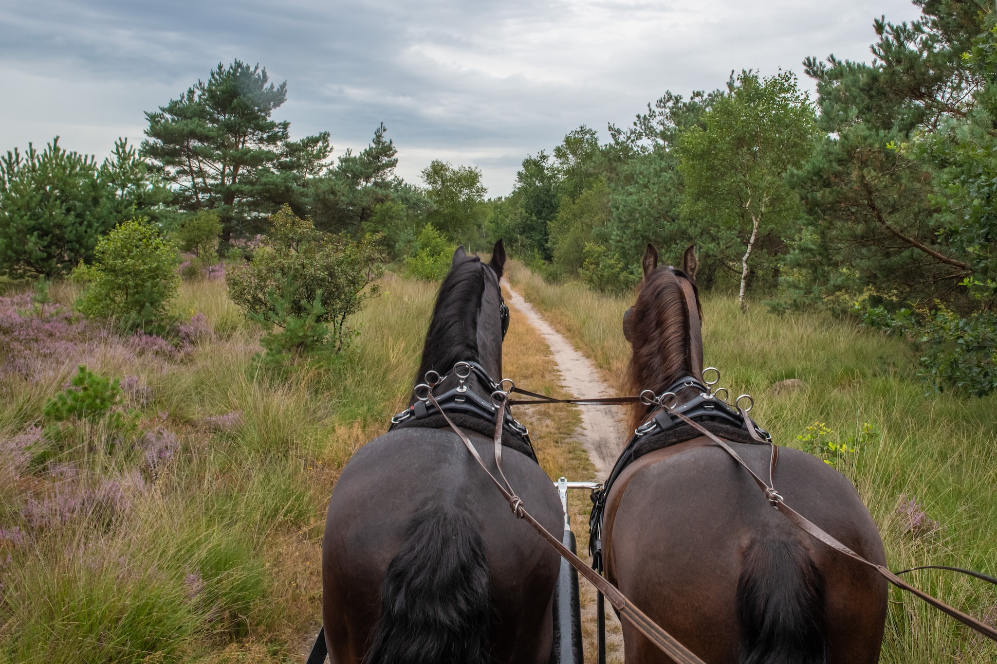 buitenrijden.nl vtwonen Landelijk 04-2026 | fotografie Imadia voor buitenrijden.nl