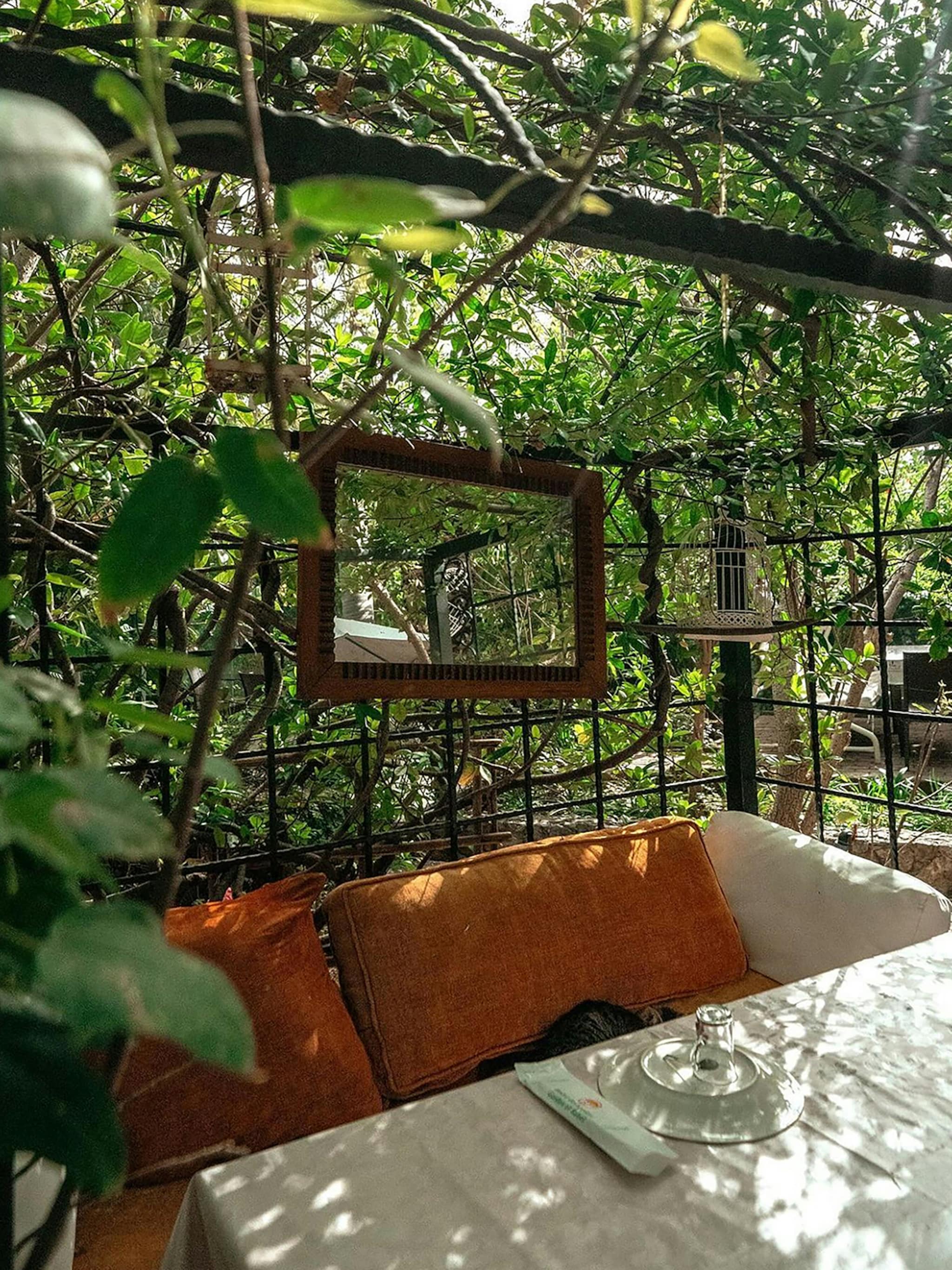 maak je tuin klaar voor de lente met deze spiegeltruc creeer je direct meer ruimte