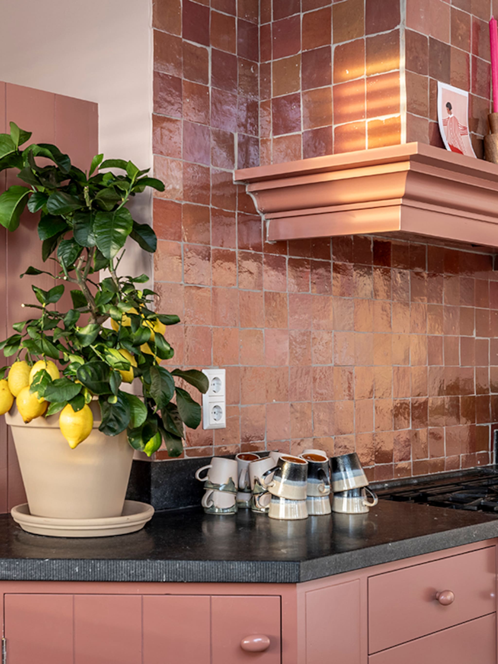 aflevering 1 marianne nieuwe niedorp kleurig landelijk