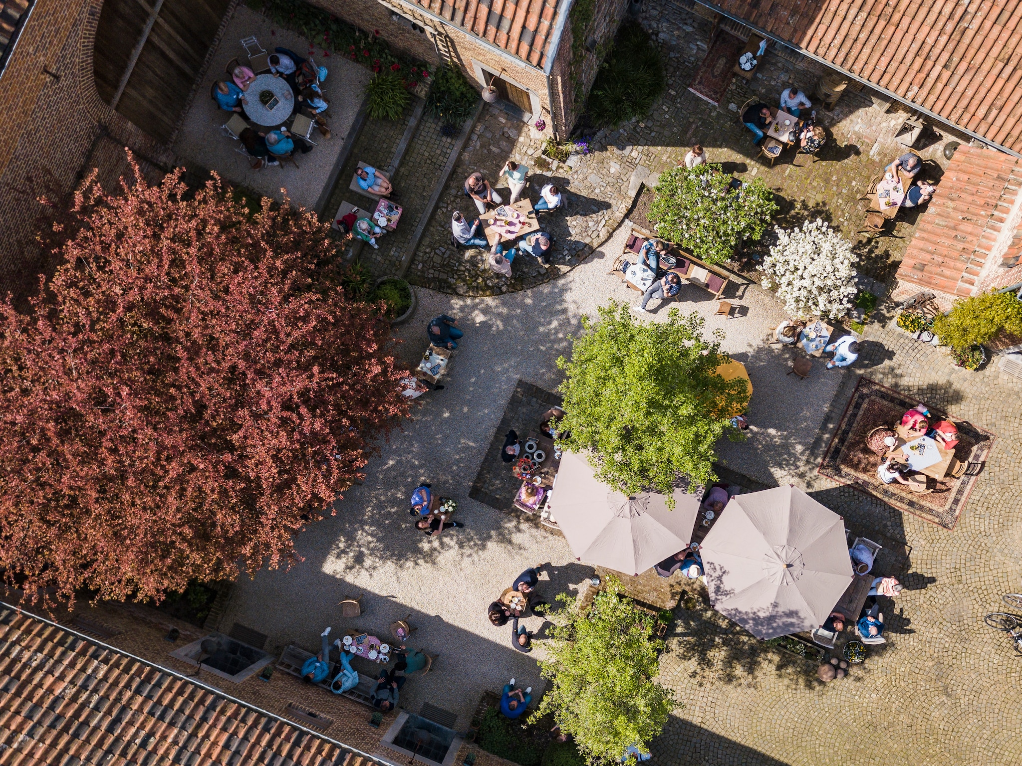 Het zomerterras van B&B Wenkeshoeve vtwonen Landelijk 05-2026 | fotografie Wenkeshoeve
