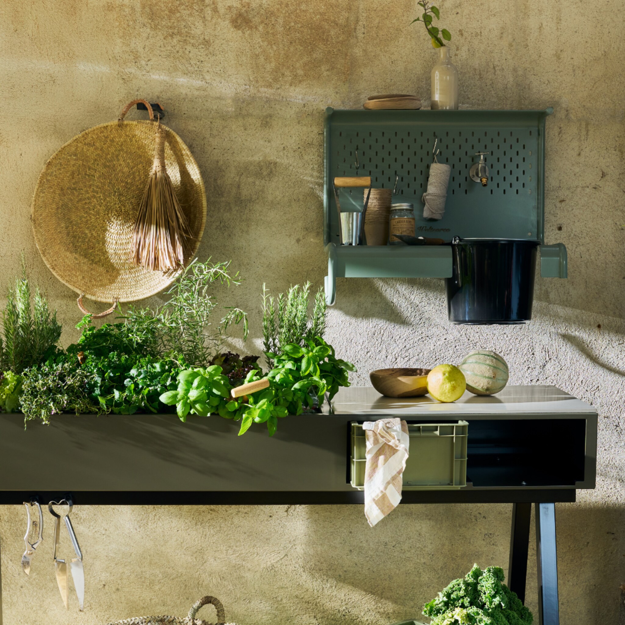 linkinbio-20260325-shop-moestuin