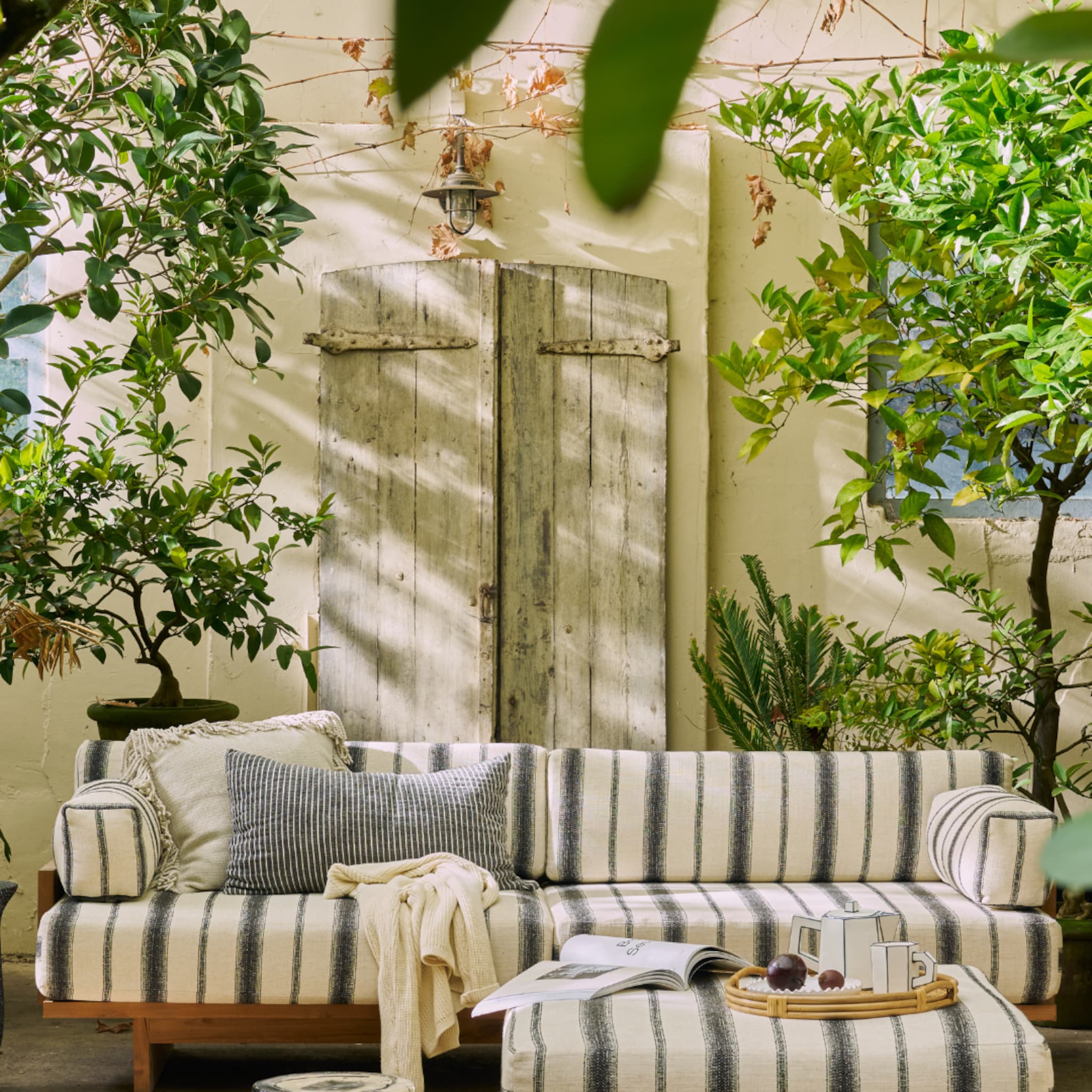 linkinbio-20260320-shop-interieur