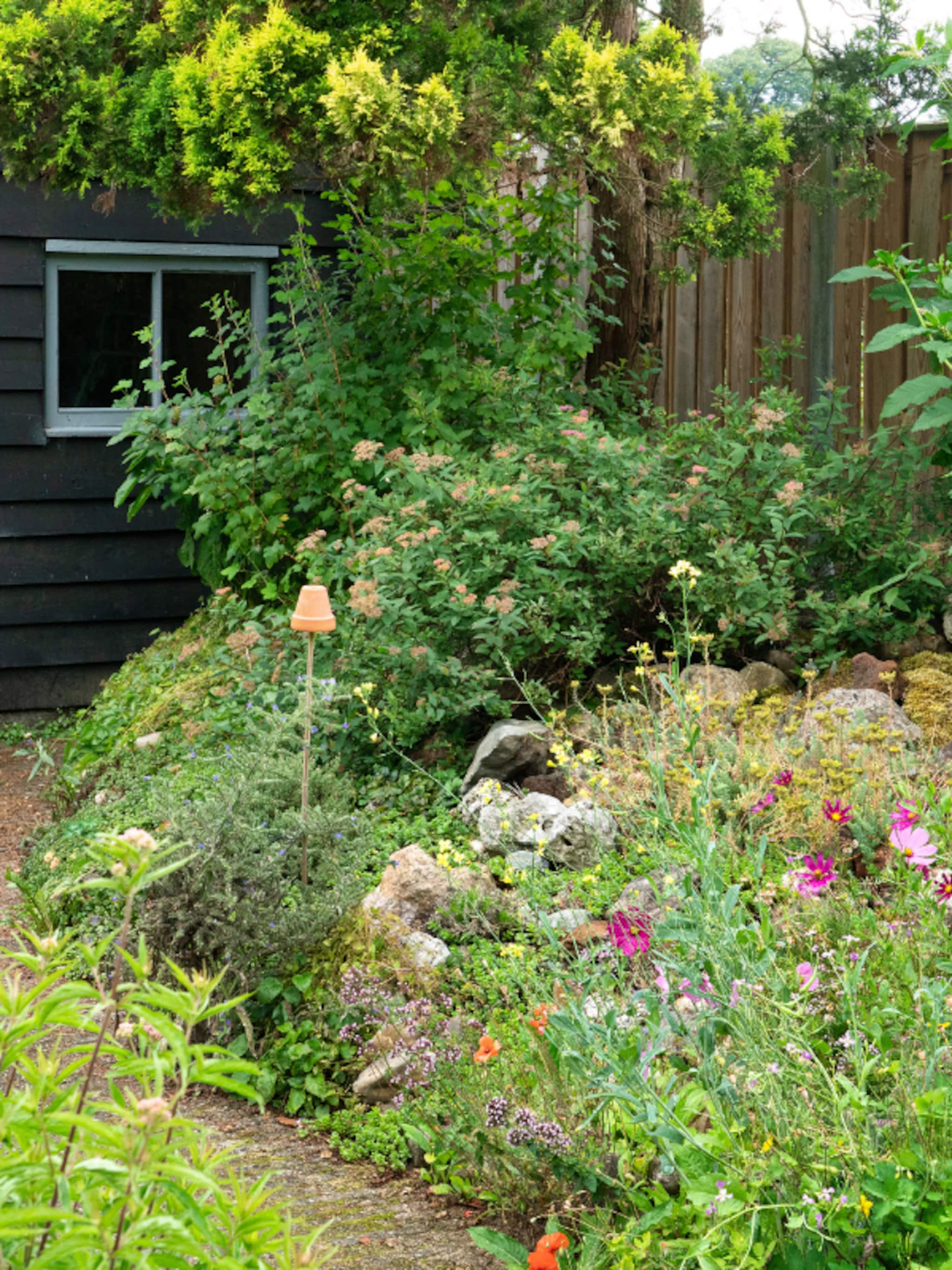 groen groener groenst zo maak je van elke buitenruimte een groene oase