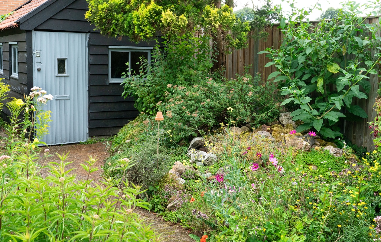 groen groener groenst zo maak je van elke buitenruimte een groene oase