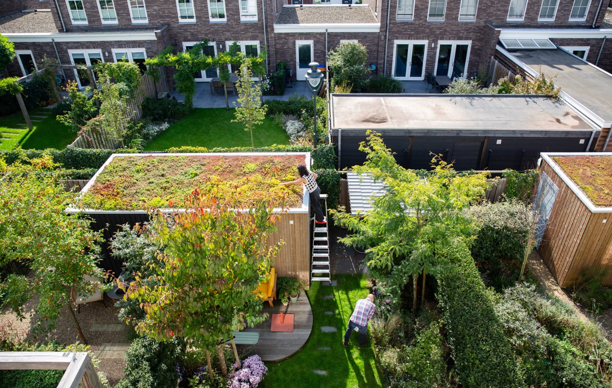 groen groener groenst zo maak je van elke buitenruimte een groene oase