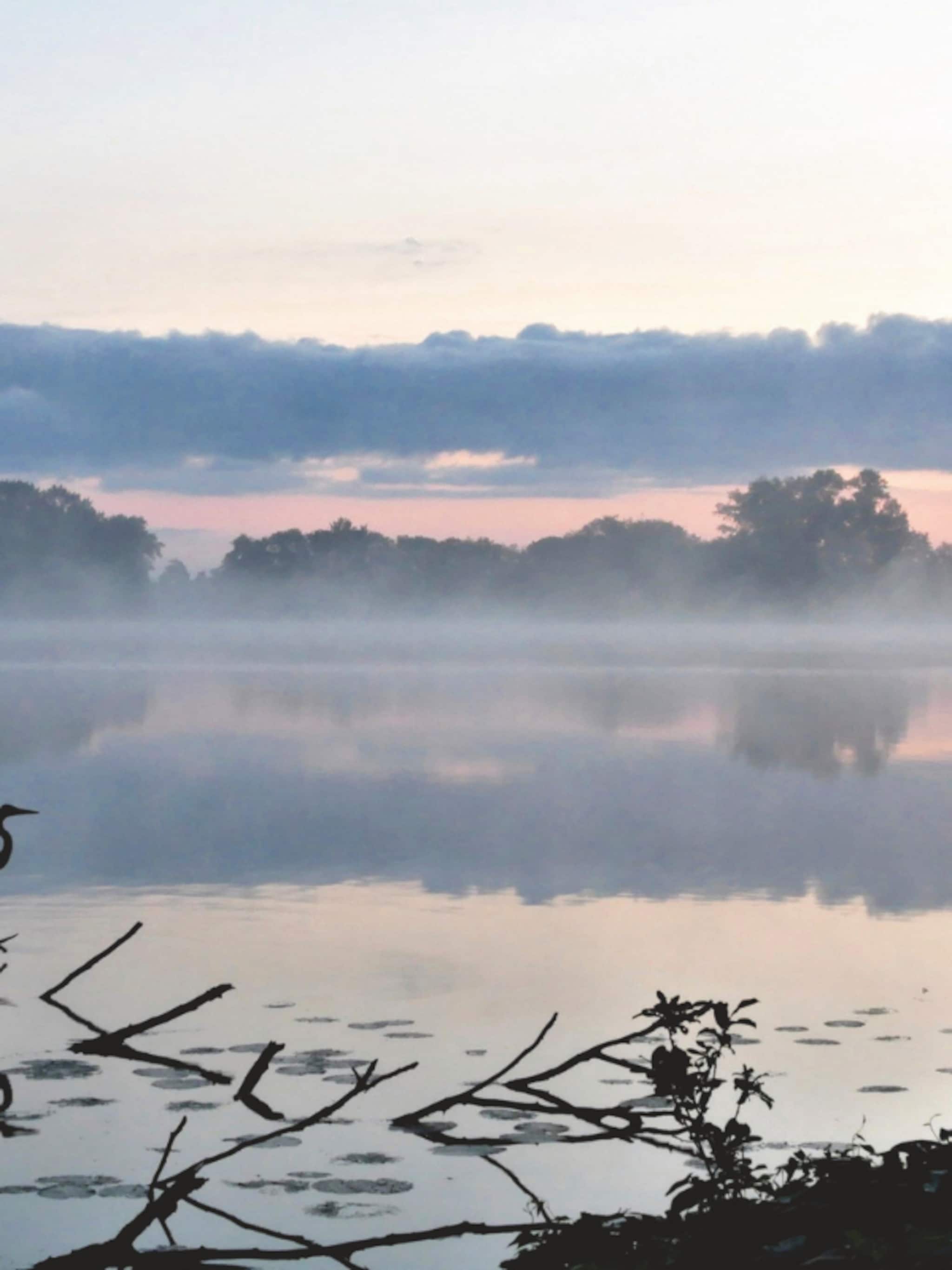 in de dageraad met deze ochtendwandelingen