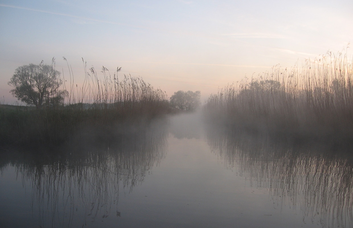 Biesbosch MuseumEiland vtwonen landelijk 02-2026 | fotografie archief Biesbosch MuseumEiland