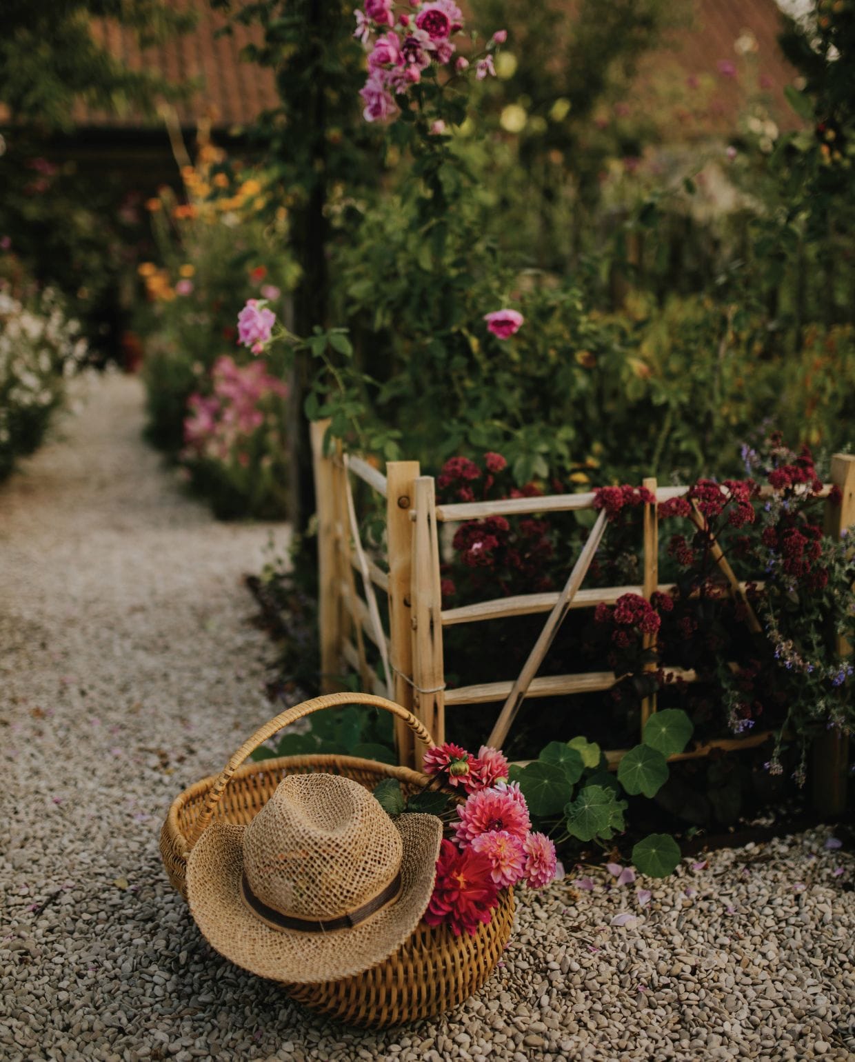 noordboek.nl vtwonen Landelijk 03-2026 | fotografie Angelo Dorny, Eva Krebbers