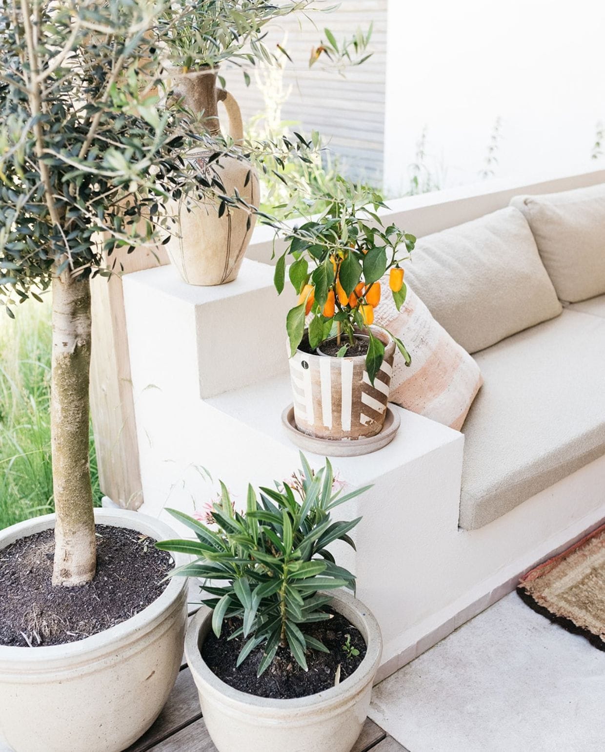 Buitenkijker Suzanne de Jong vtwonen TUIN special | fotografie Jeannine Rijsdijk