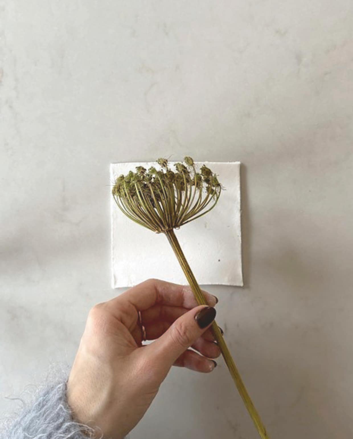 Poster van Pstr Studio via shop.vtwonen.nl. Lamp Ikea. Behang Arte. vtwonen 03-2026 | tekst Valerie Paas | fotografie Valerie Paas