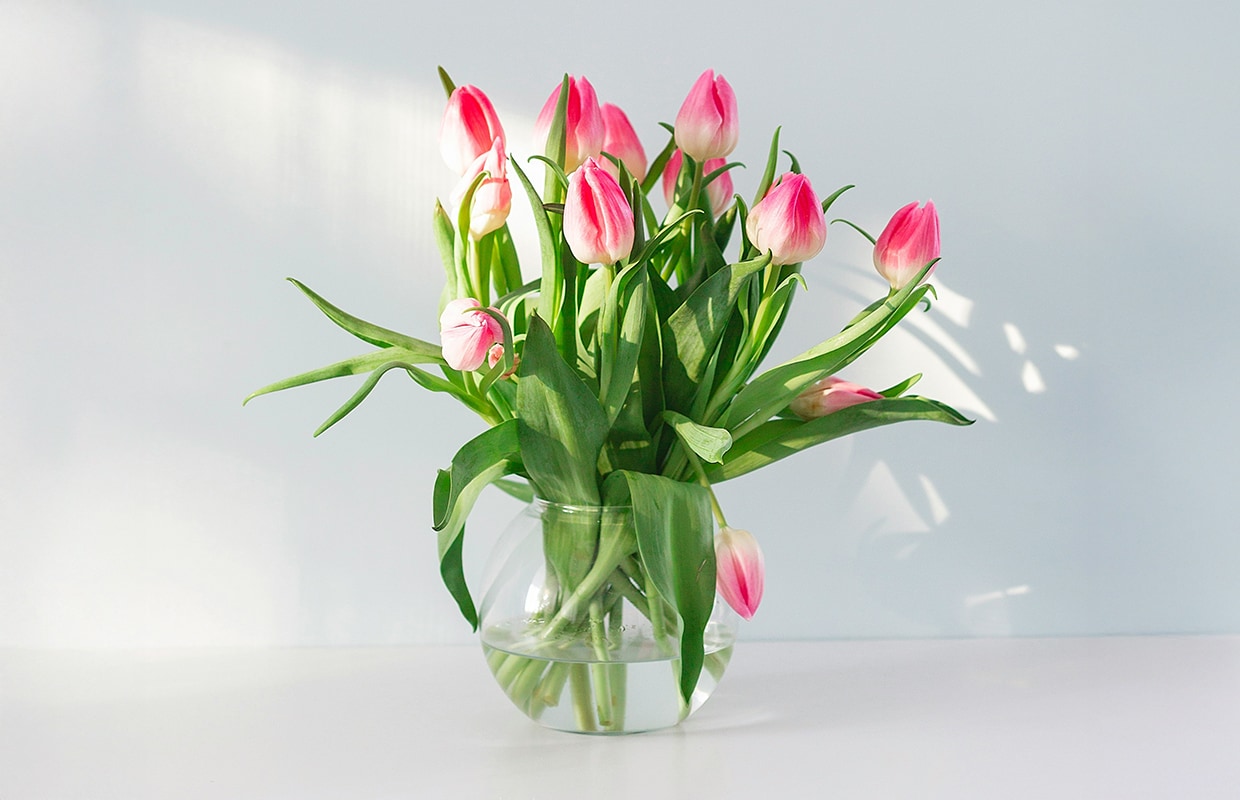 vtwonen Pasen - paasbloemen, tulpen