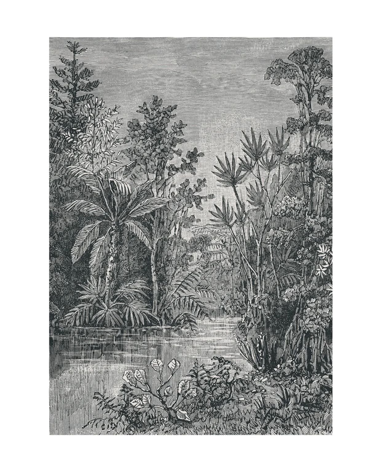 Art for the Home Fotobehang - Jungle - Zwart/Wit - 280x200 cm Art for the Home