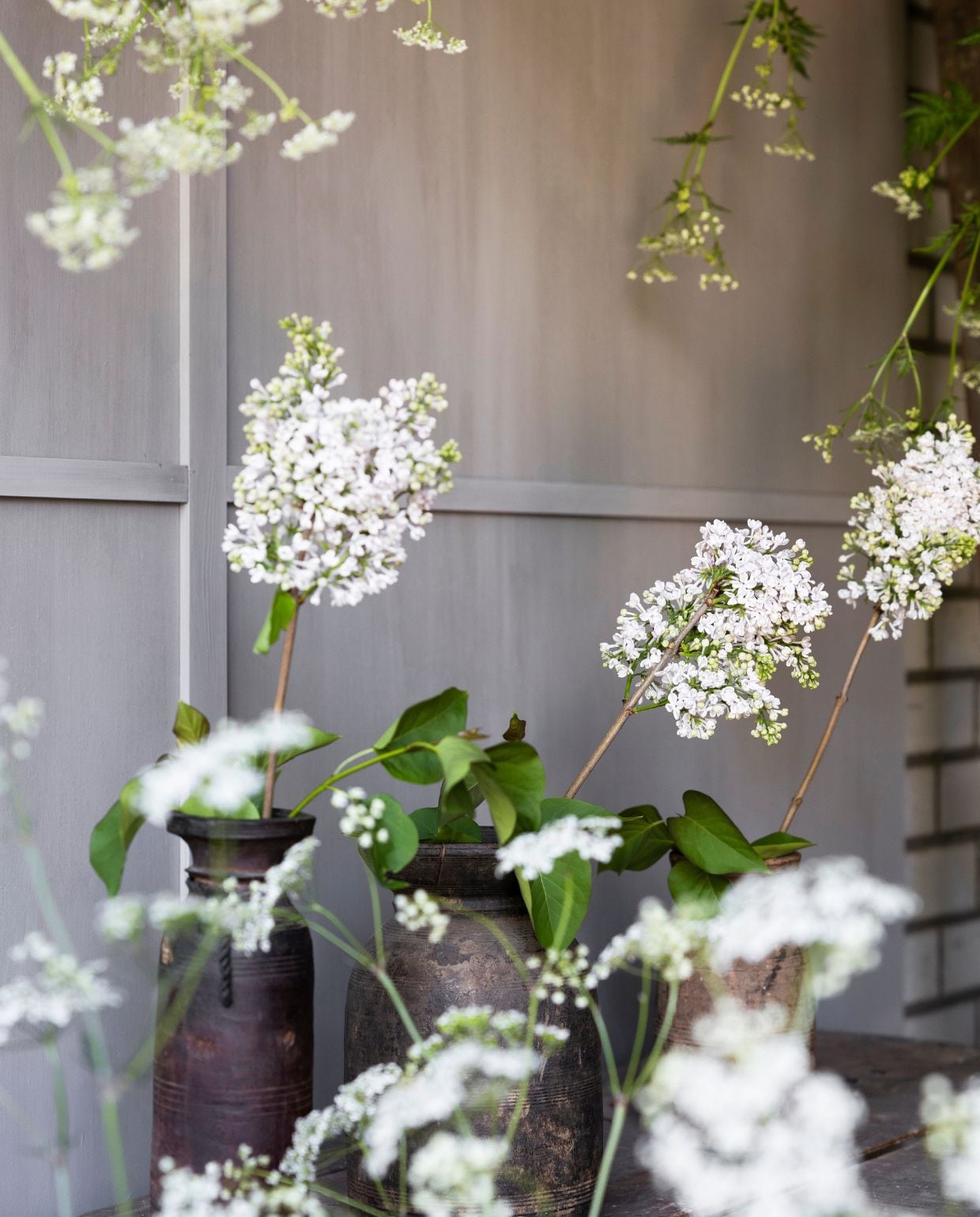 vtwonen TUIN special 2026 | fotografie Sarah Van Hove