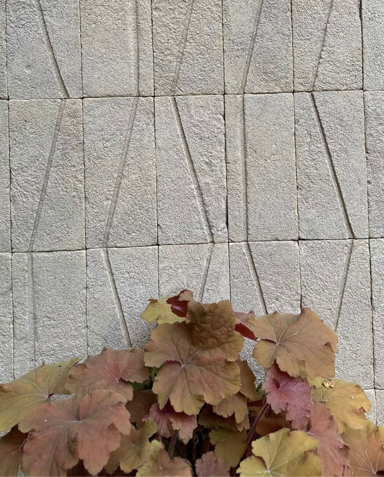 vtwonen TUIN special 2026