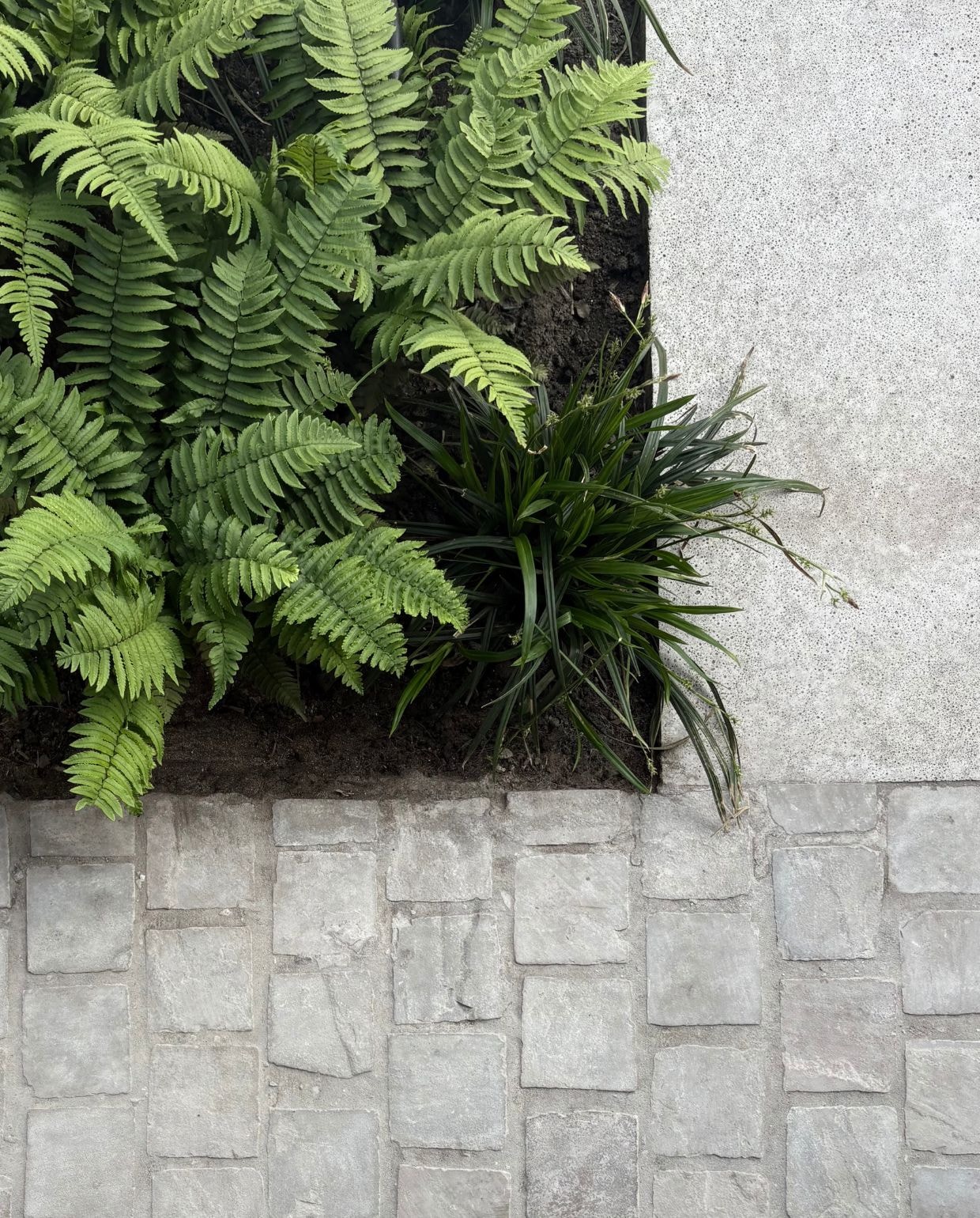 vtwonen TUIN 2026 | fotografie Studio Eik