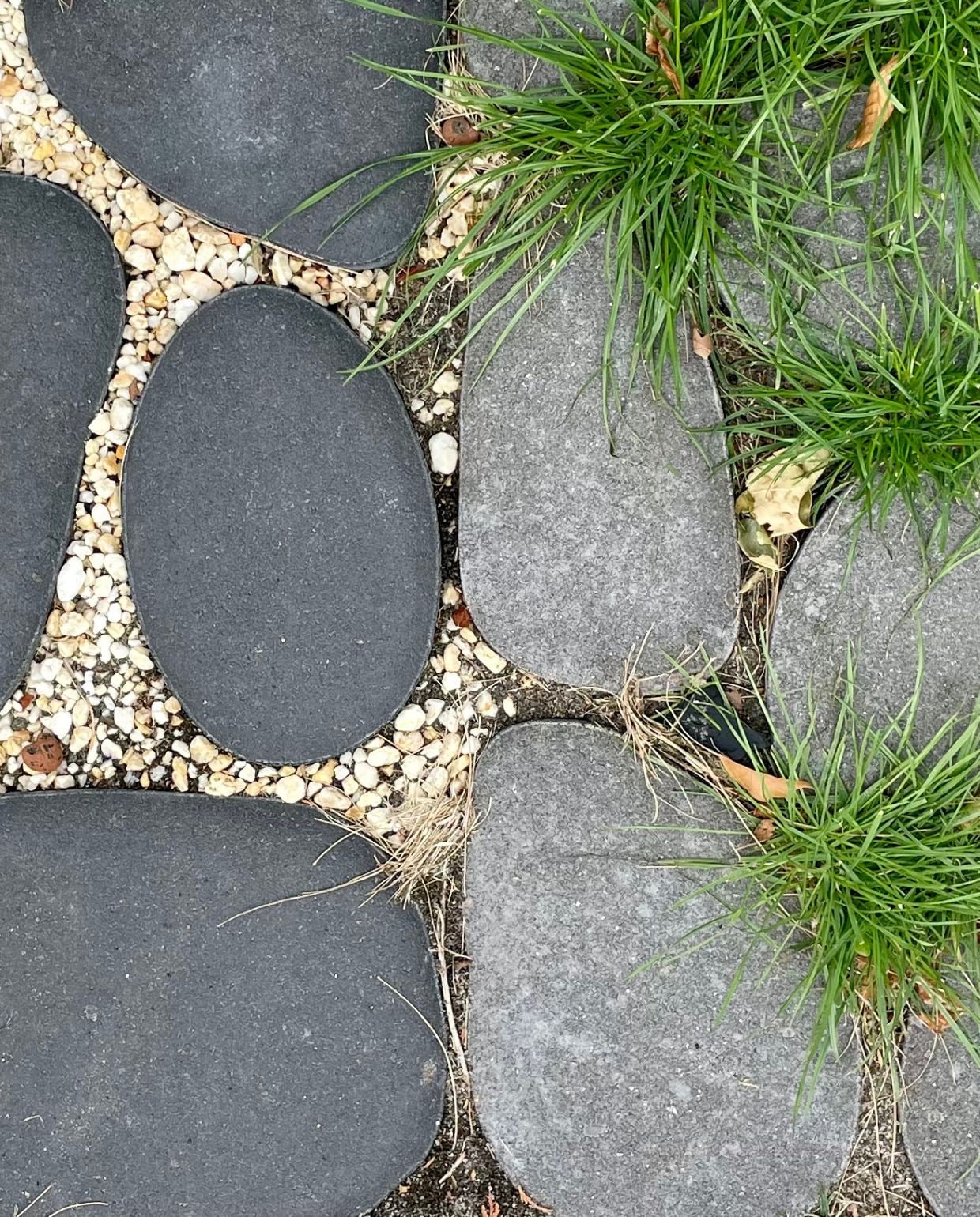 vtwonen TUIN 2026 | fotografie Studio Eik