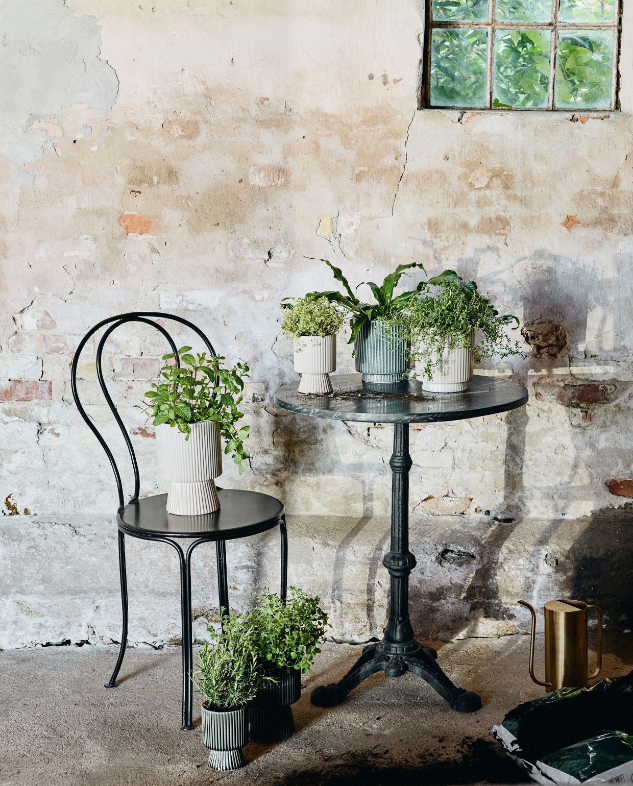 vtwonen TUIN 2026 | fotografie Nordal