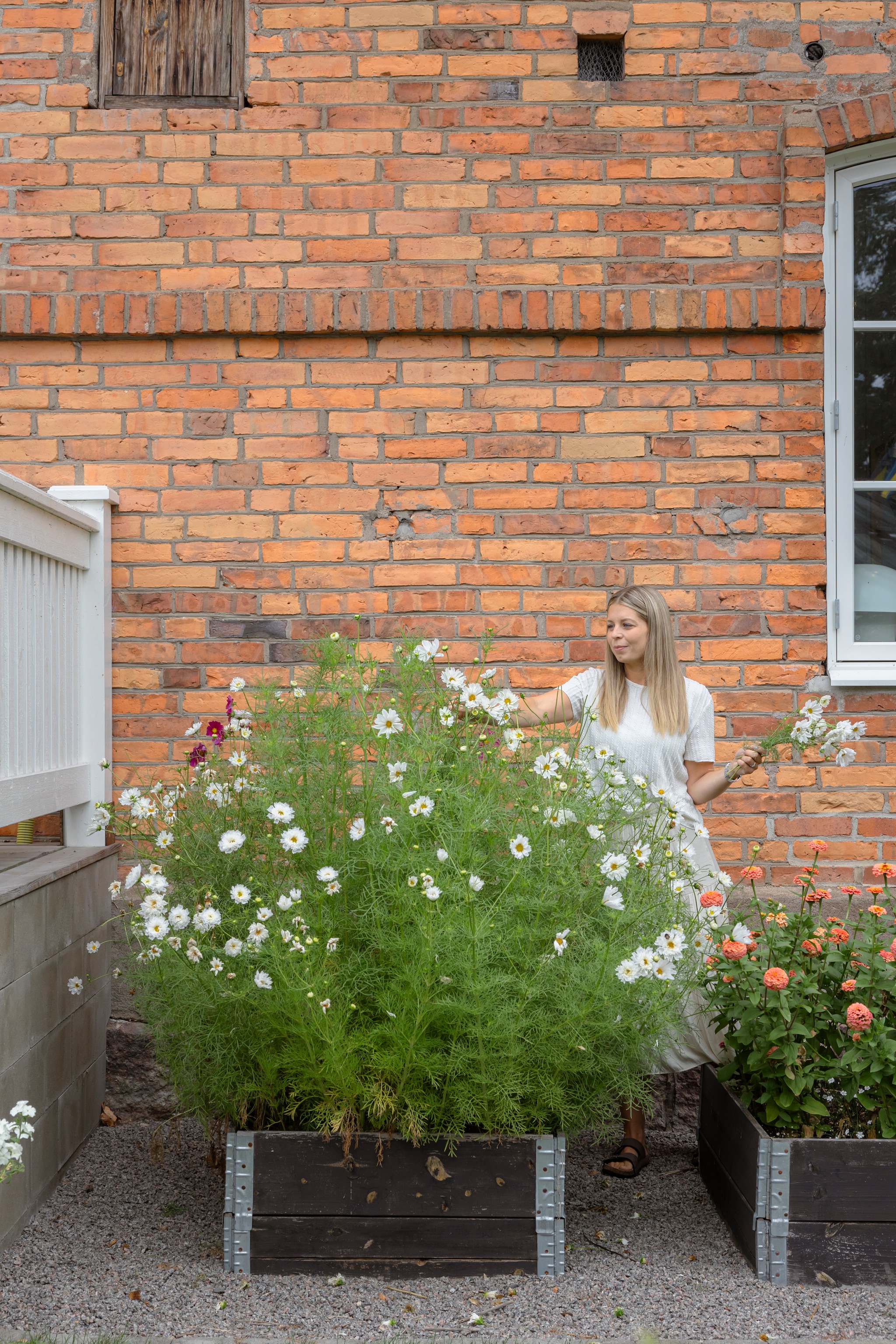 Bloemen links zinnia, rechts dahlia. vtwonen Landelijk 06-2026 | styling Anna Bjelkholm | fotografie Anna Karlsson