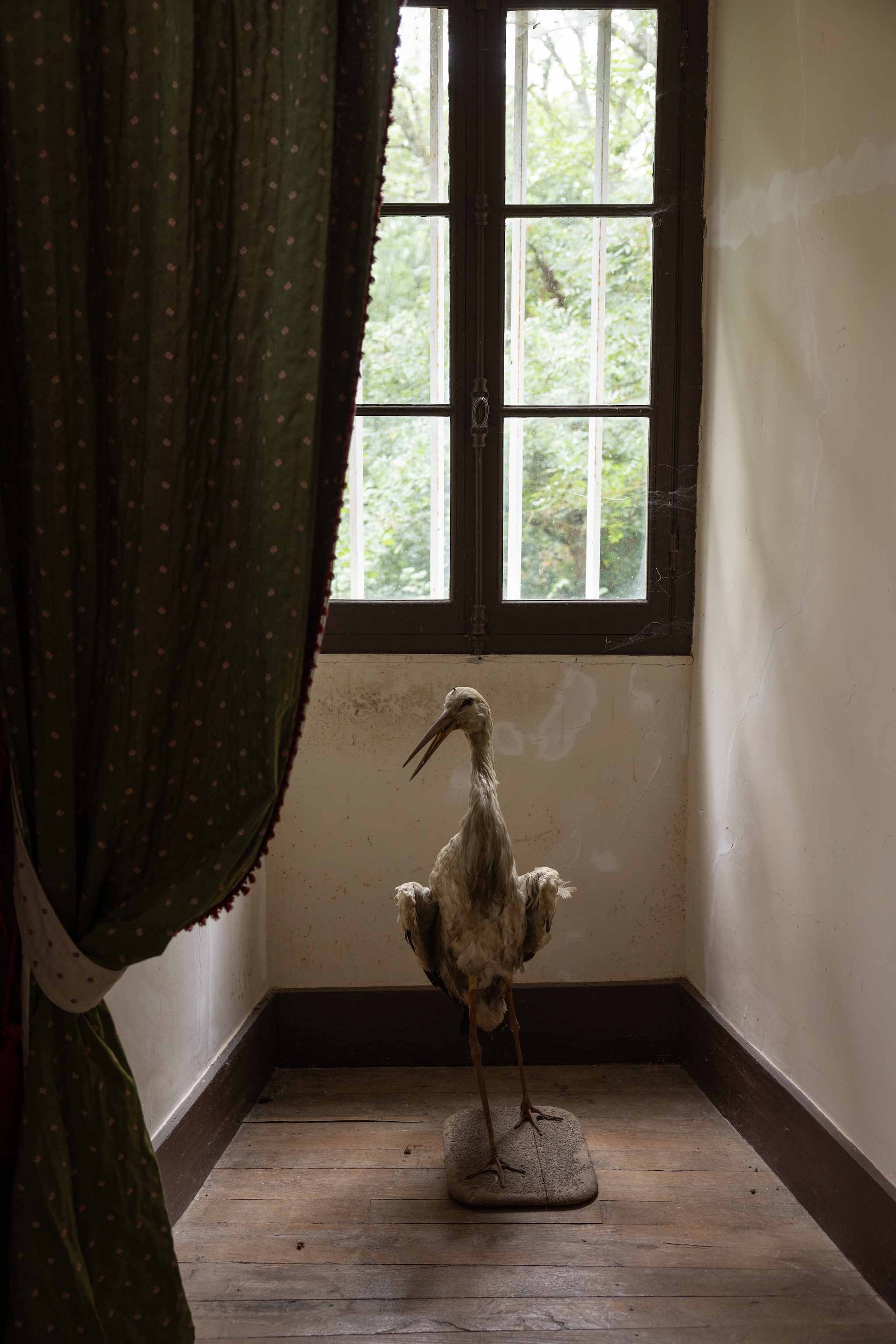Vogel brocante. Gordijnen van vorige bewoners. vtwonen Landelijk 06-2026 | styling Ilona Jongepier | fotografie Dana van Leeuwen