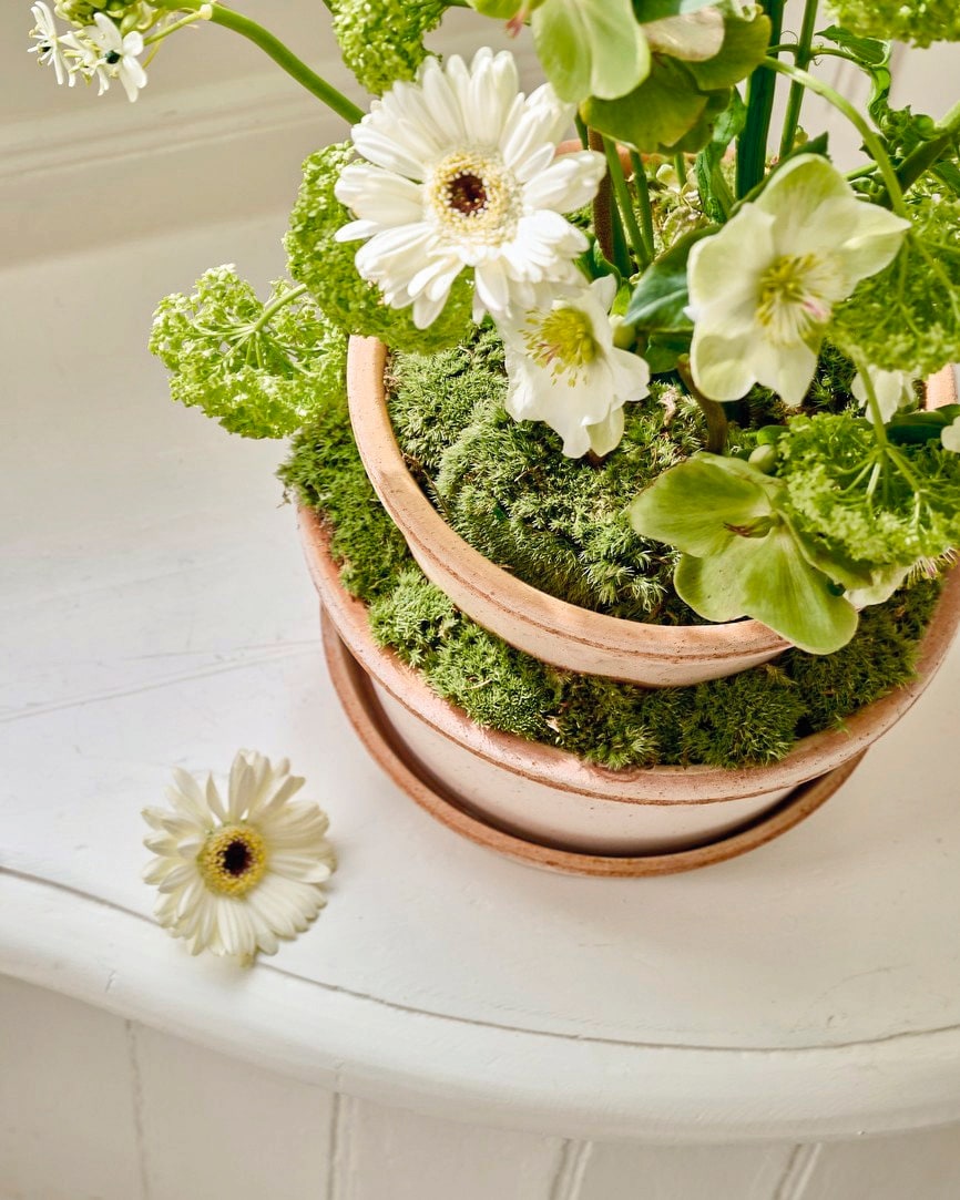 vtwonen Landelijk 03-2026 | styling Kim van Rossenberg | fotografie Sjoerd Eickmans