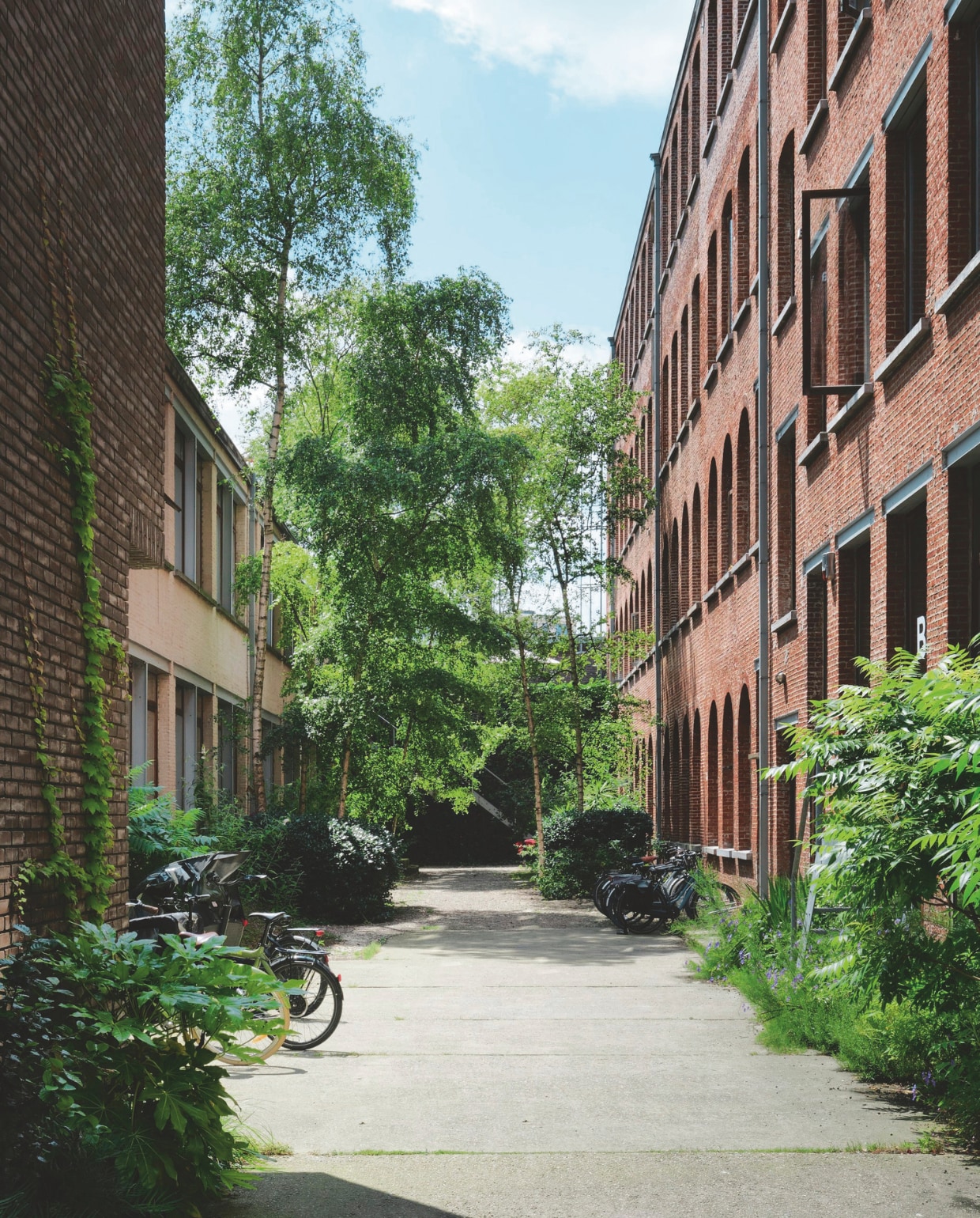 In het gebouw zitten aan één zijde vijfendertig ramen. vtwonen design 02-2026 | Fotografie Mr. Frank