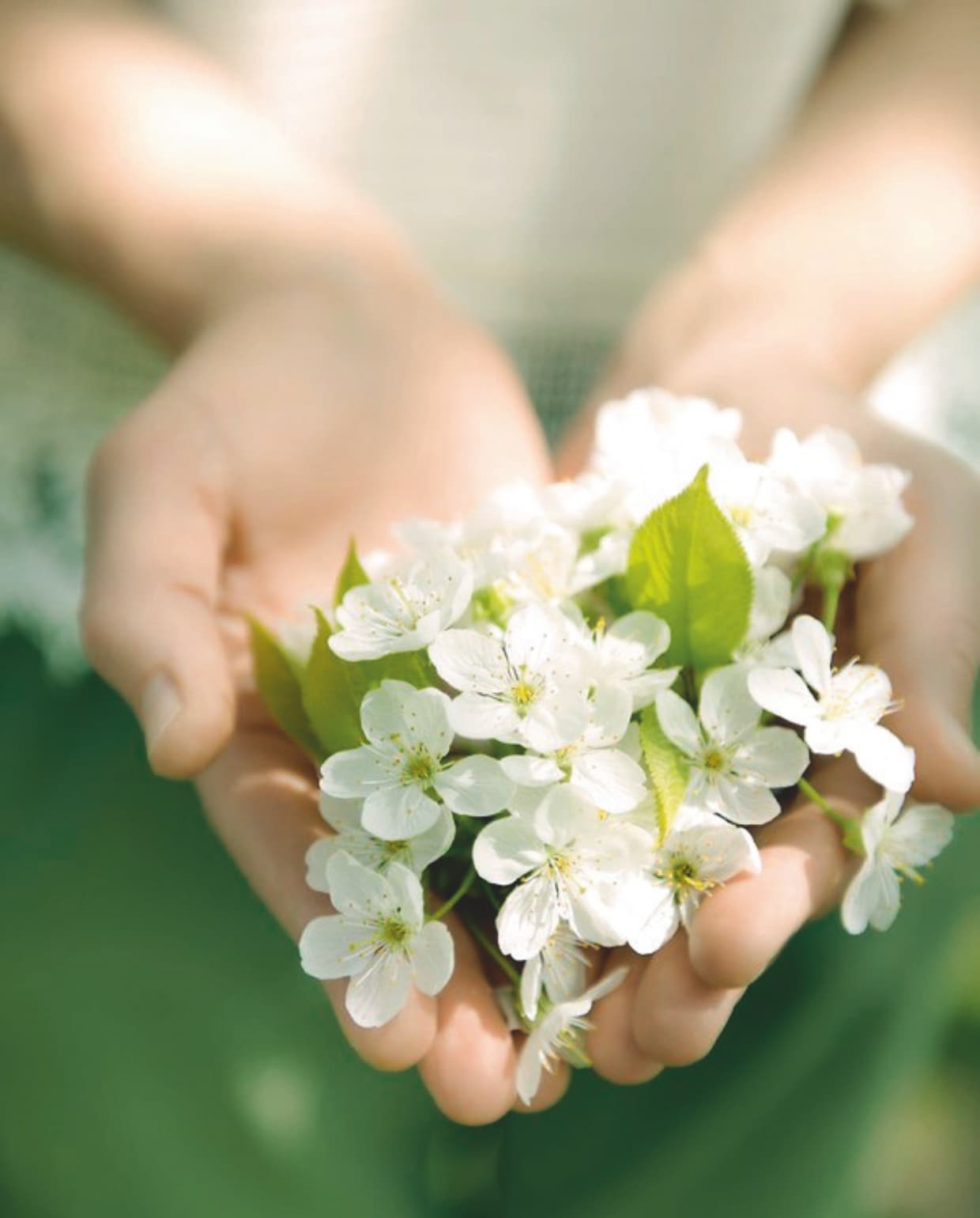 Bloesem vtwonen Landelijk 03-2026 | styling Moniek Visser | fotografie Sjoerd Eickmans