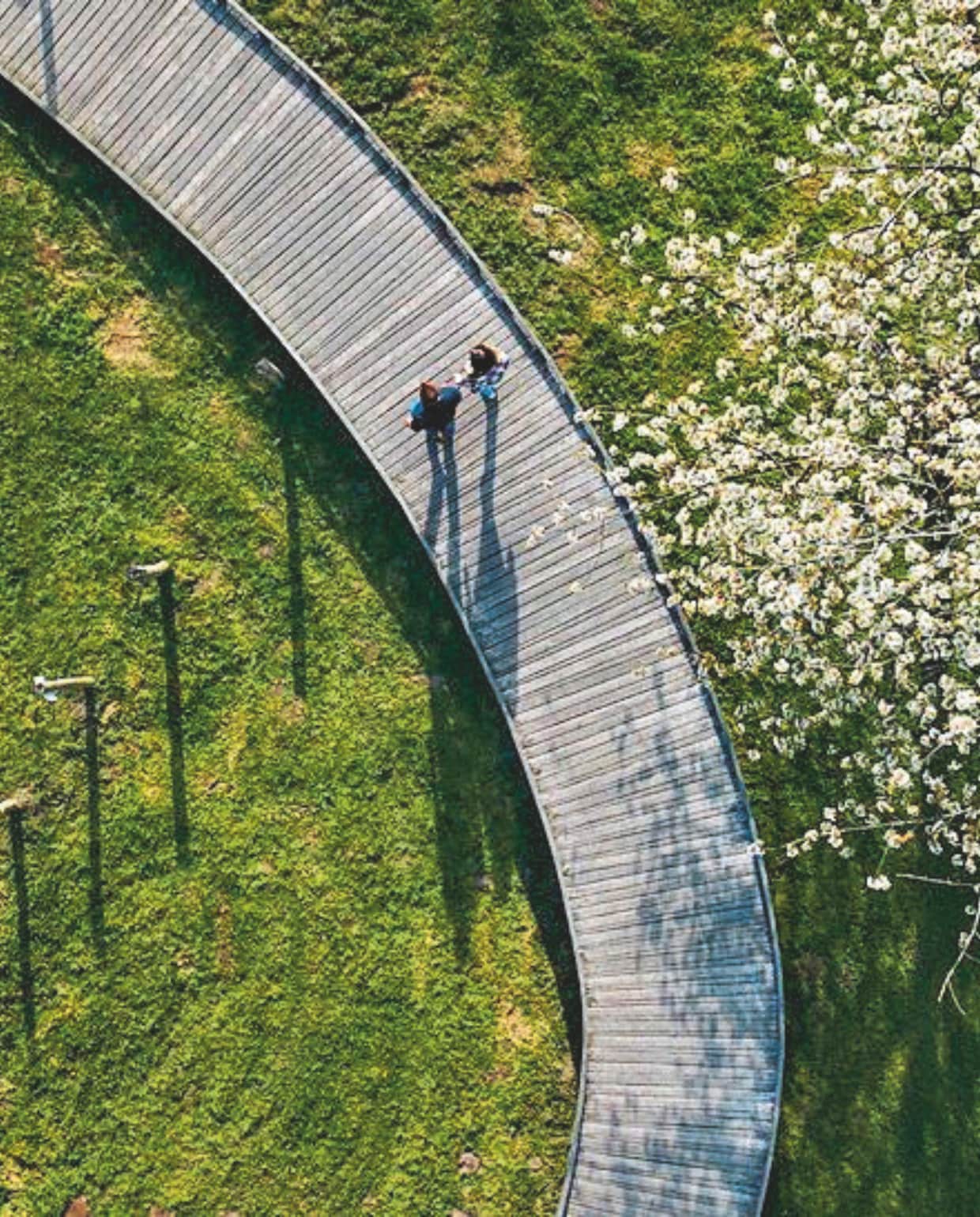 • visitlimburg.be vtwonen Landelijk 03-2026 | fotografie Derek Malou