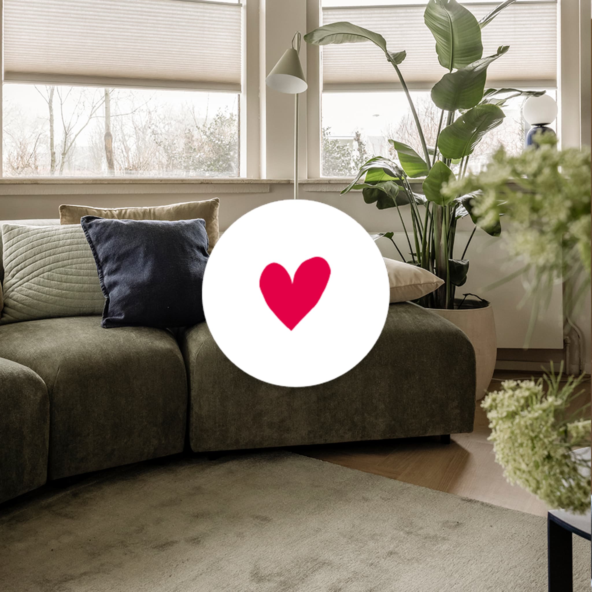 wvojh lander - alles over de make-over