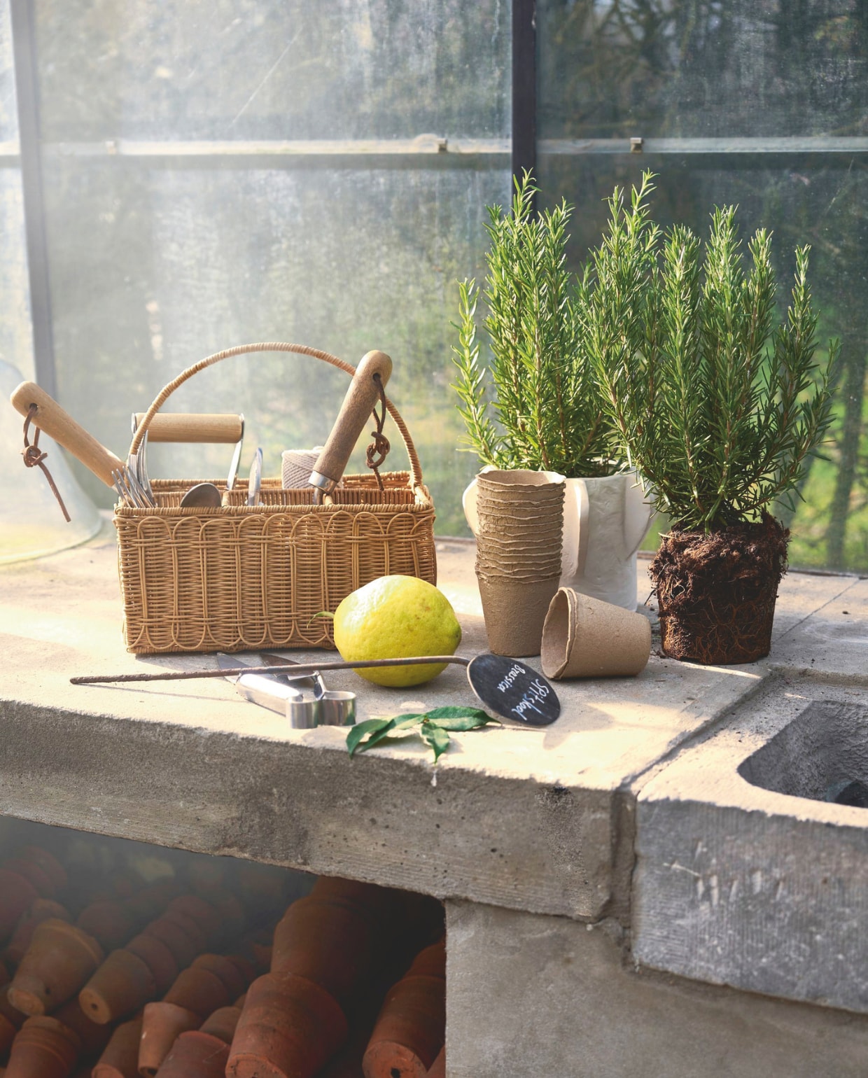Zara Home mand, riet € 25,99 (zarahome.com), Serax pot 05 Molly, keramiek, beige € 99,- (serax.com). Dille & Kamille tuingereedschap, hout en metaal, vanaf € 9,95 (dille-kamille.nl). Intratuin kweekpotten, karton € 3,49 (intratuin.nl). Overig privébezit. vtwonen Landelijk 03-2026 | fotografie Jeroen van der Spek | styling Cleo Scheulderman