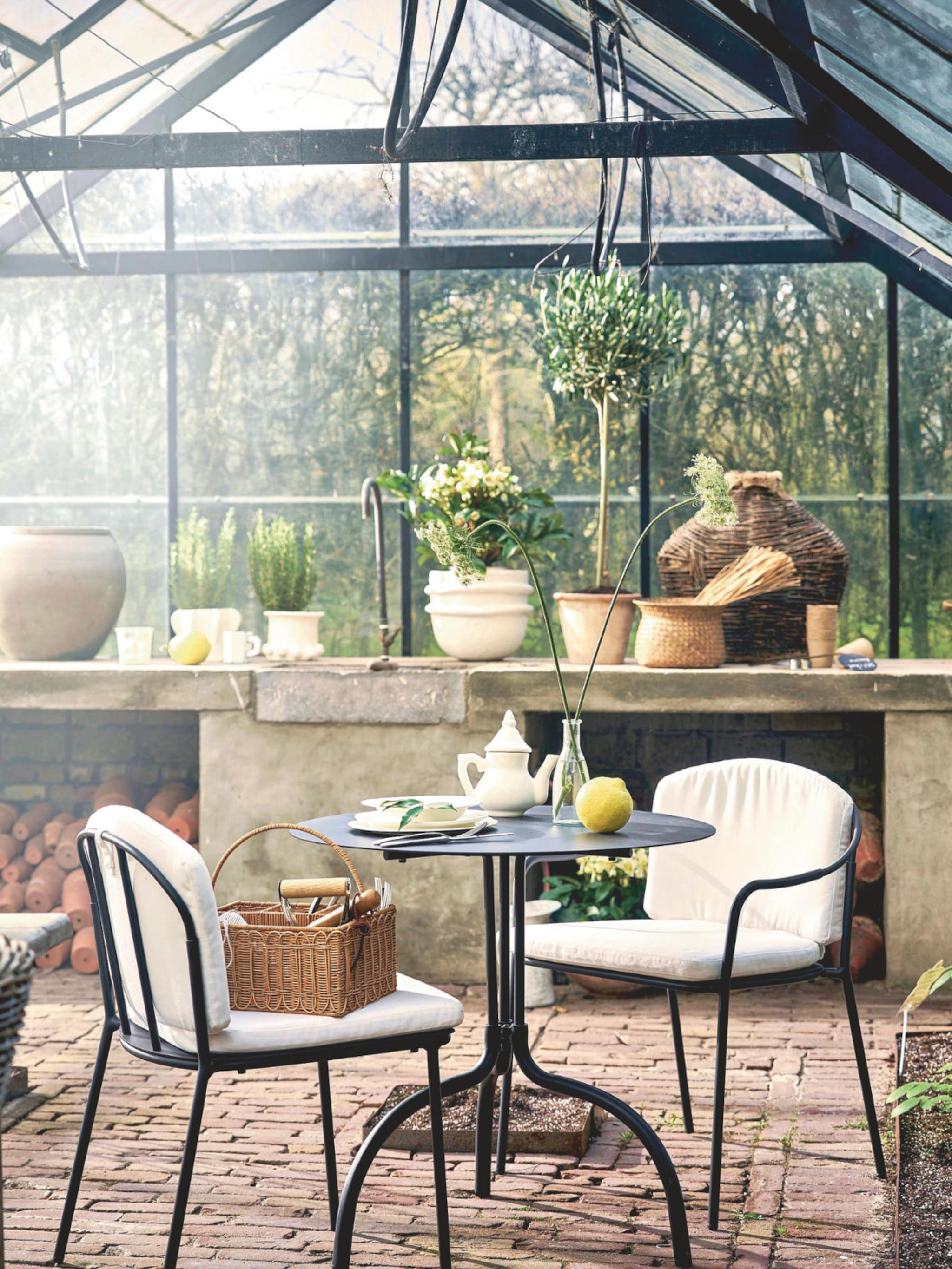planten voor landelijke tuin
