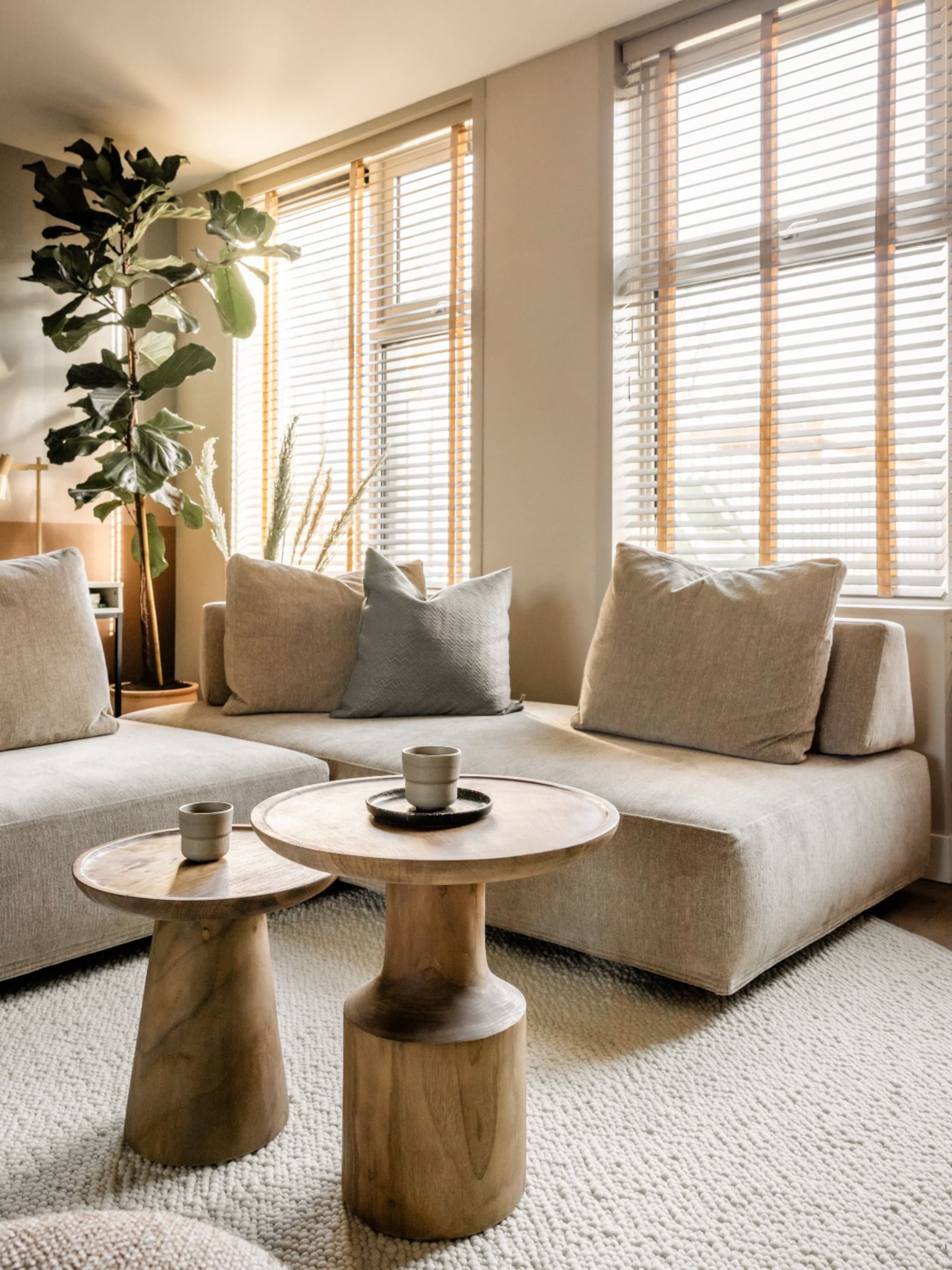 aflevering 6 frans schagen terugkijken