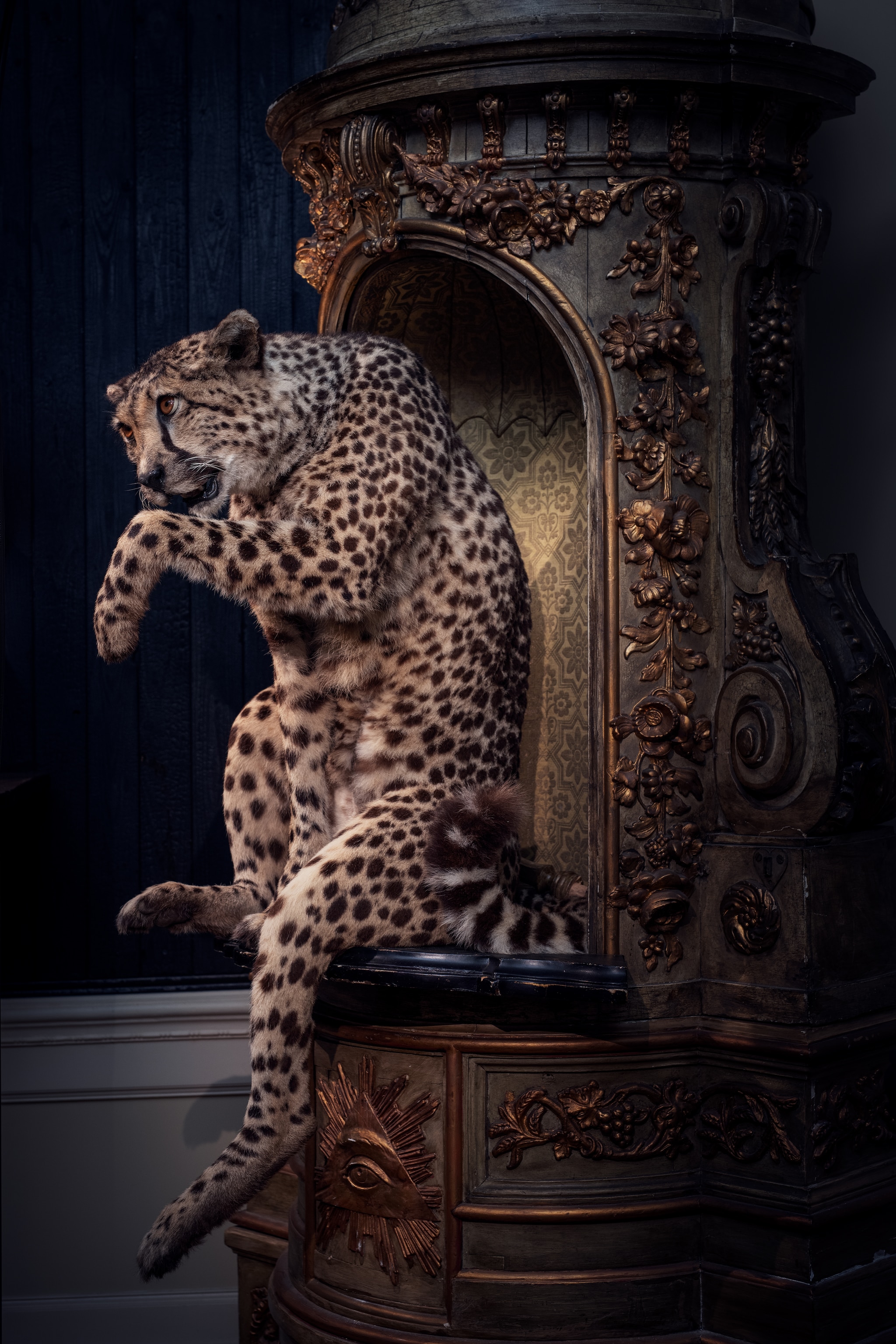 artzoo.com vtwonen Design 06 | fotografie Museum More