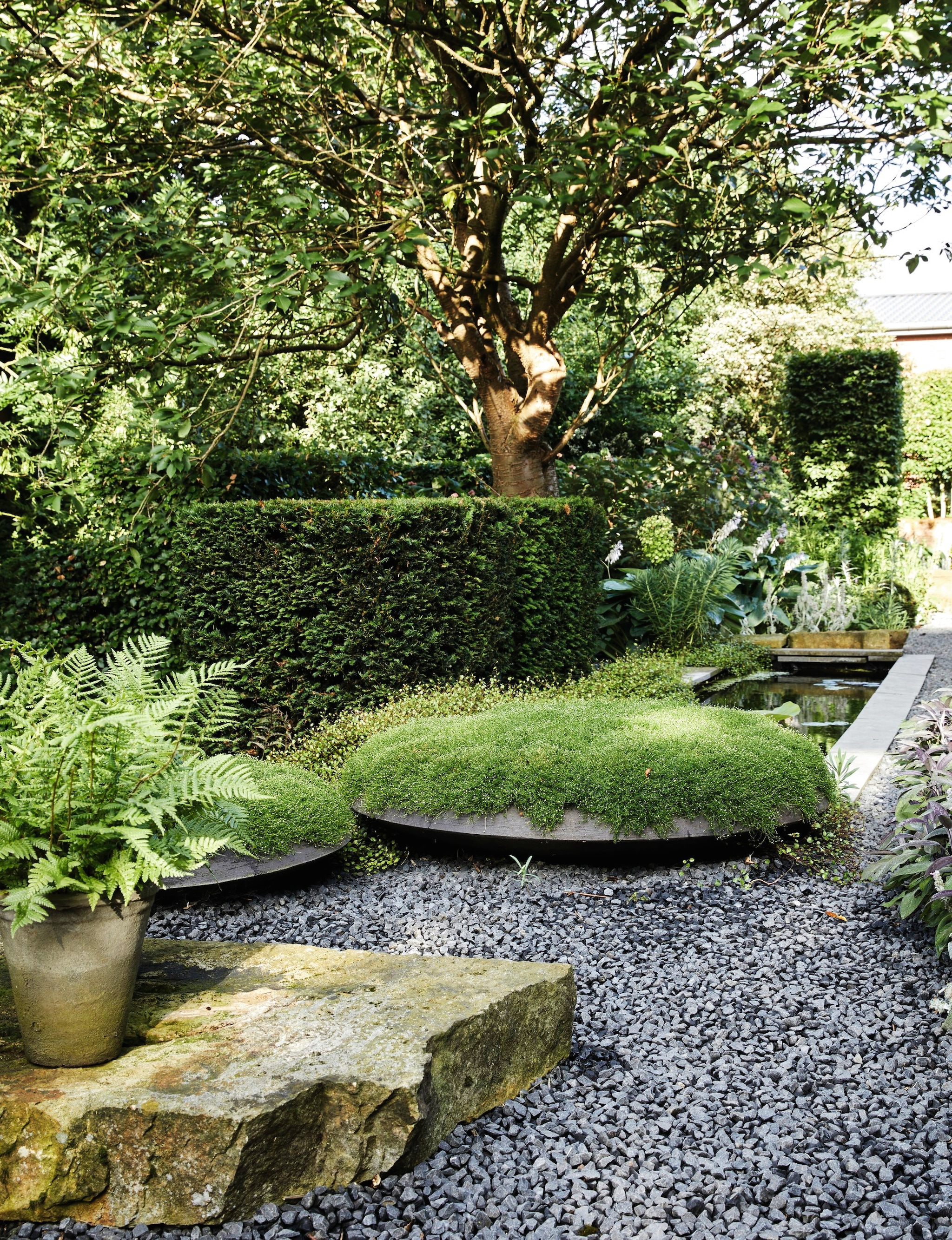 Ronde bloempotten Studio Vierkant. Bodembedekker Iers mos (SaginaSubulata). vtwonen landelijk 03-2026 | fotografie Peter Fehrentz