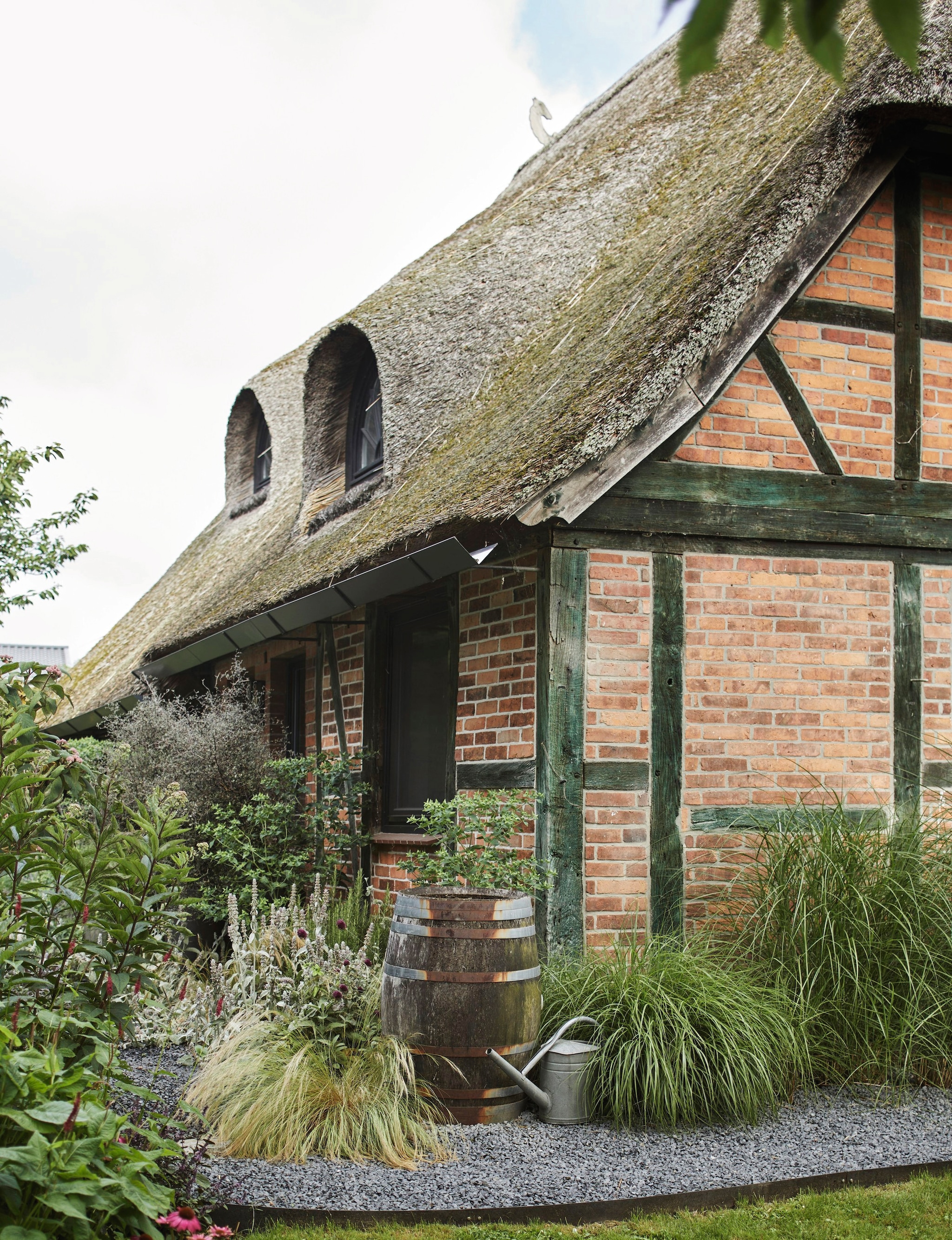 Beplanting:  kruisbladwolfsmelk (Euphorbia lathyris),  ezelsoren (Stachys byzantina), zigzag-struik (Corokia cotoneaster) en Mexicaans vedergras (Stipa tenuissima). vtwonen landelijk 03-2026 | fotografie Peter Fehrentz