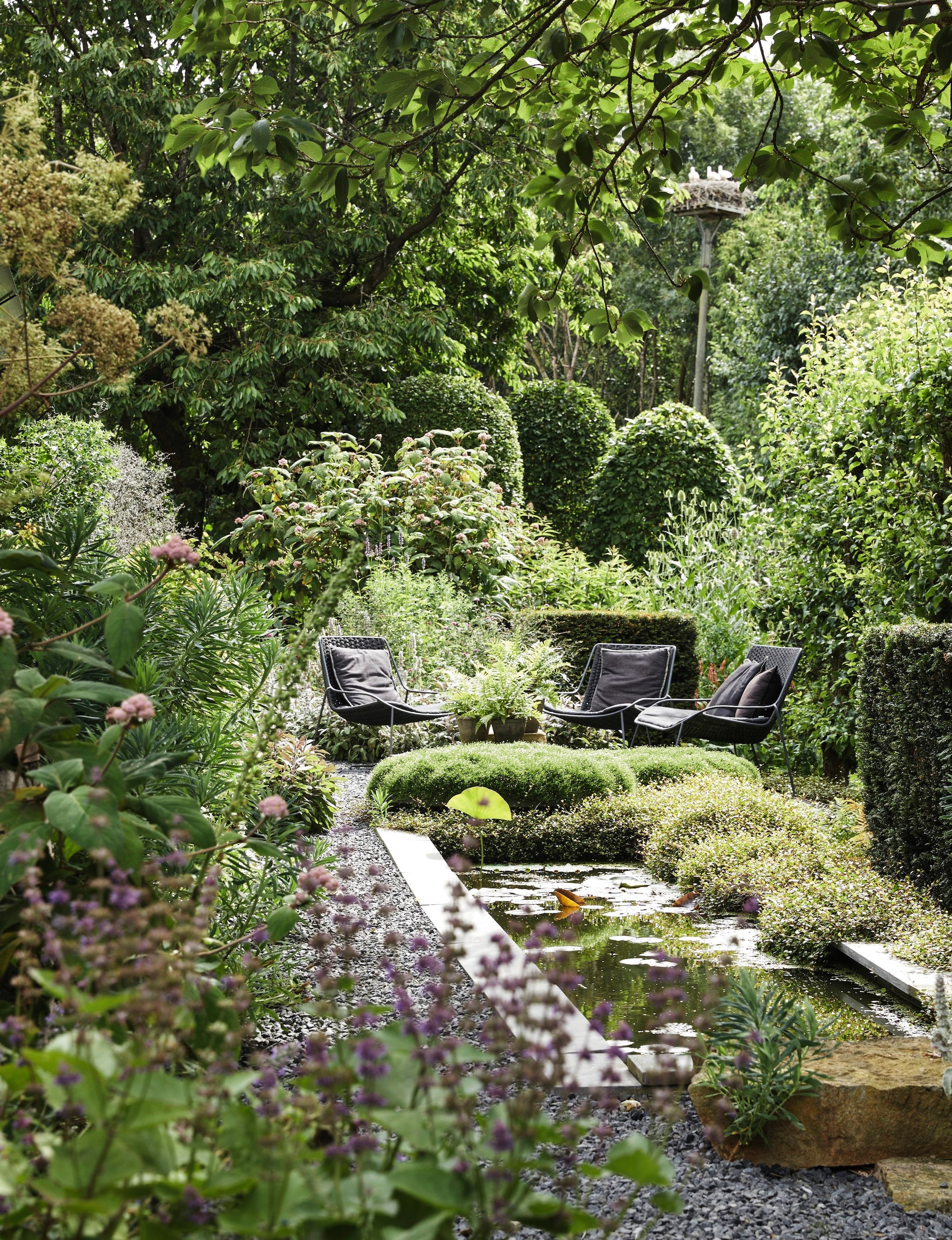 Stoelen Max en Luuk. Planten: draadstruik (Muehlenbeckia Axillars), fluweelhortensia (Hydrangea Sargentiana), struikwolfsmelk (Euphorbia Characias). vtwonen landelijk 03-2026 | fotografie Peter Fehrentz