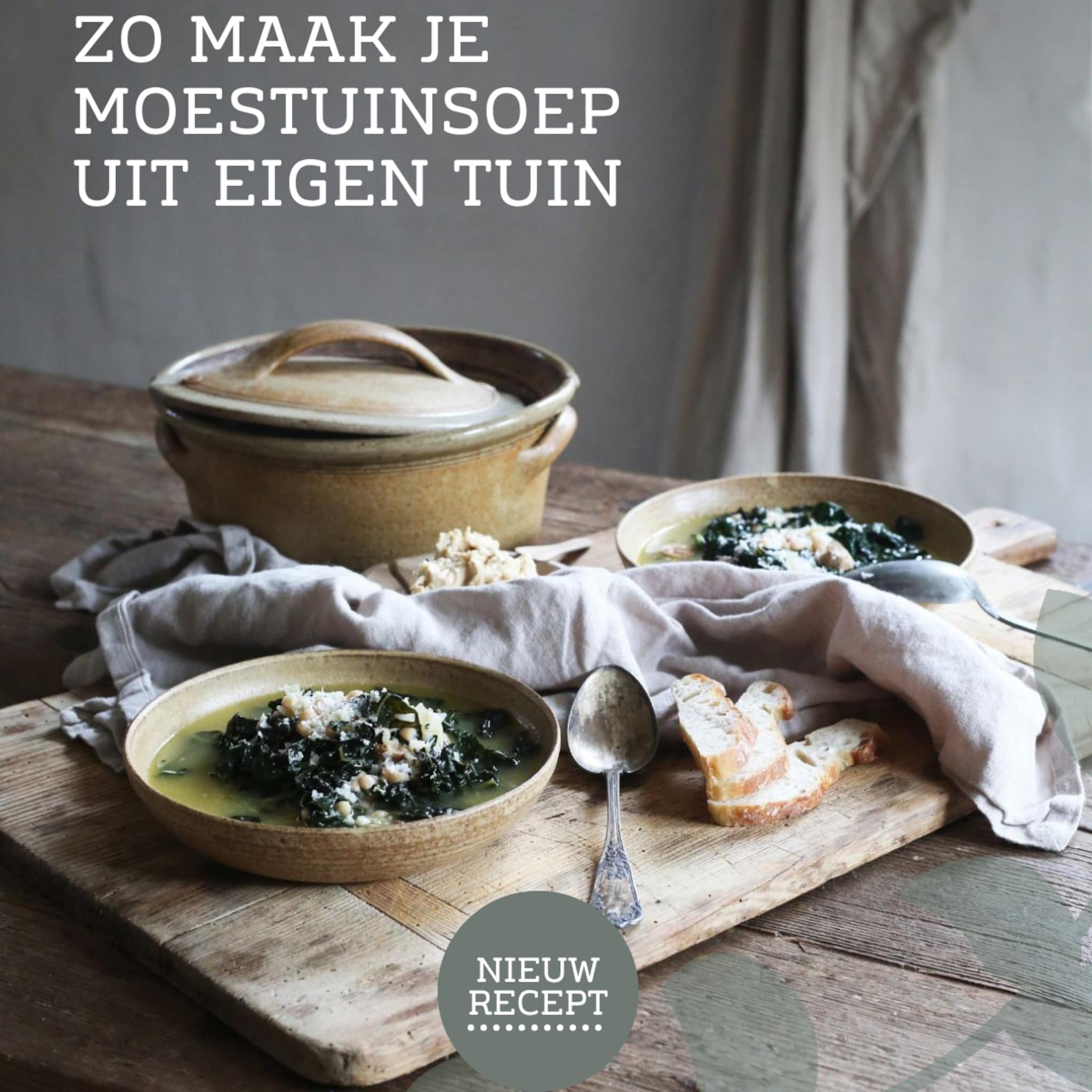 linkinbio-landelijk-20260414-moestuinsoep-recept