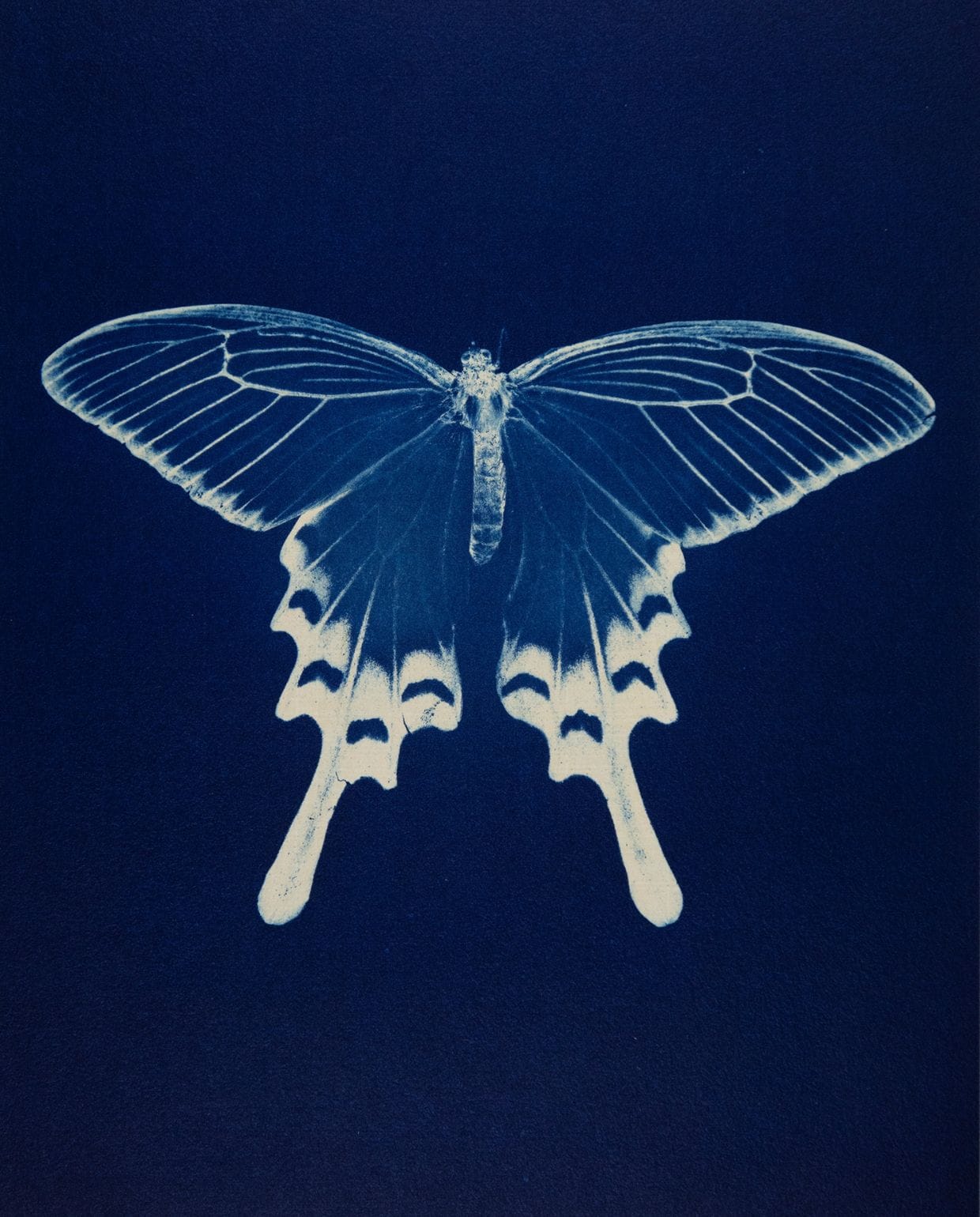 hetscheepvaartmuseum.nl vtwonen Design 03-2026 | fotografie Anaïs López