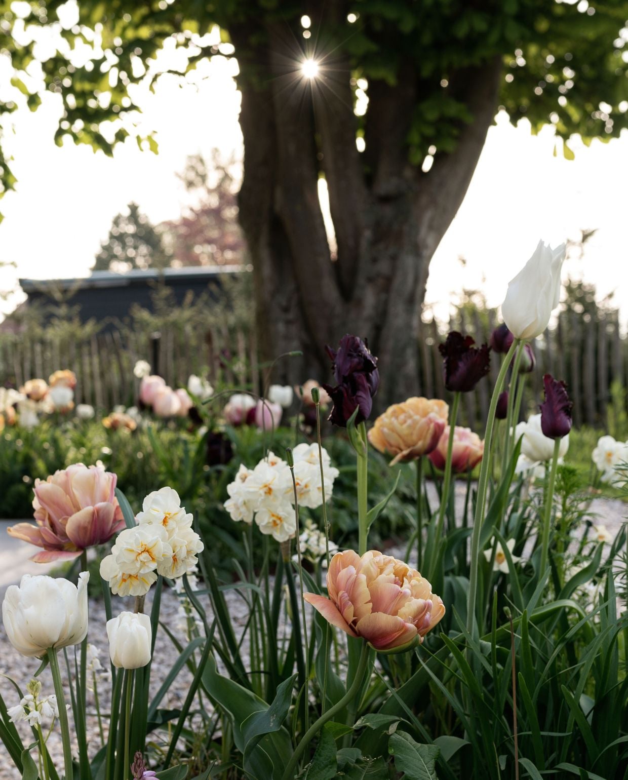 vtwonen Tuin 2026 | fotografie Tanja van Hoogdalem