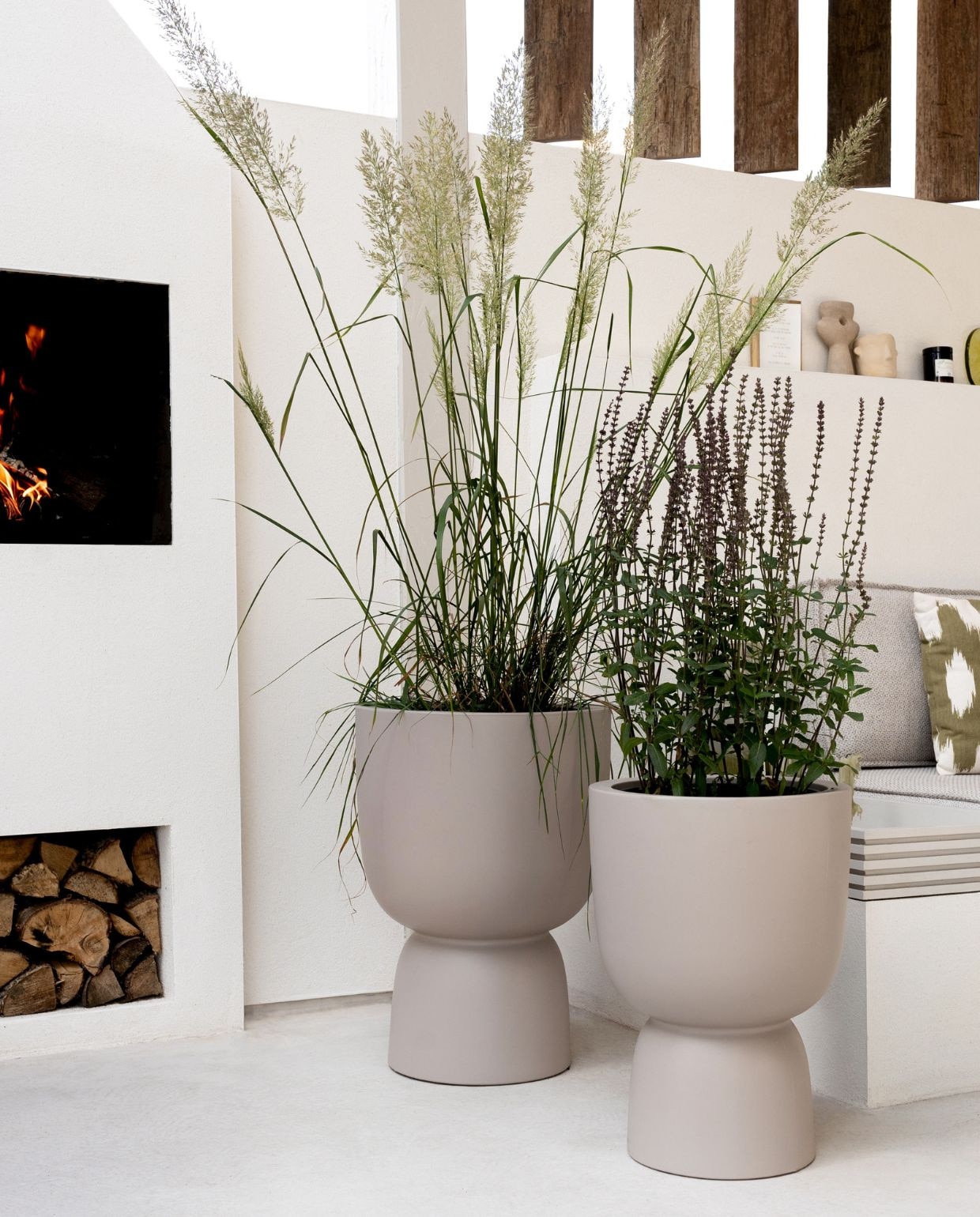 vtwonen Tuin special 2026 | fotografie Tanja van Hoogdalem