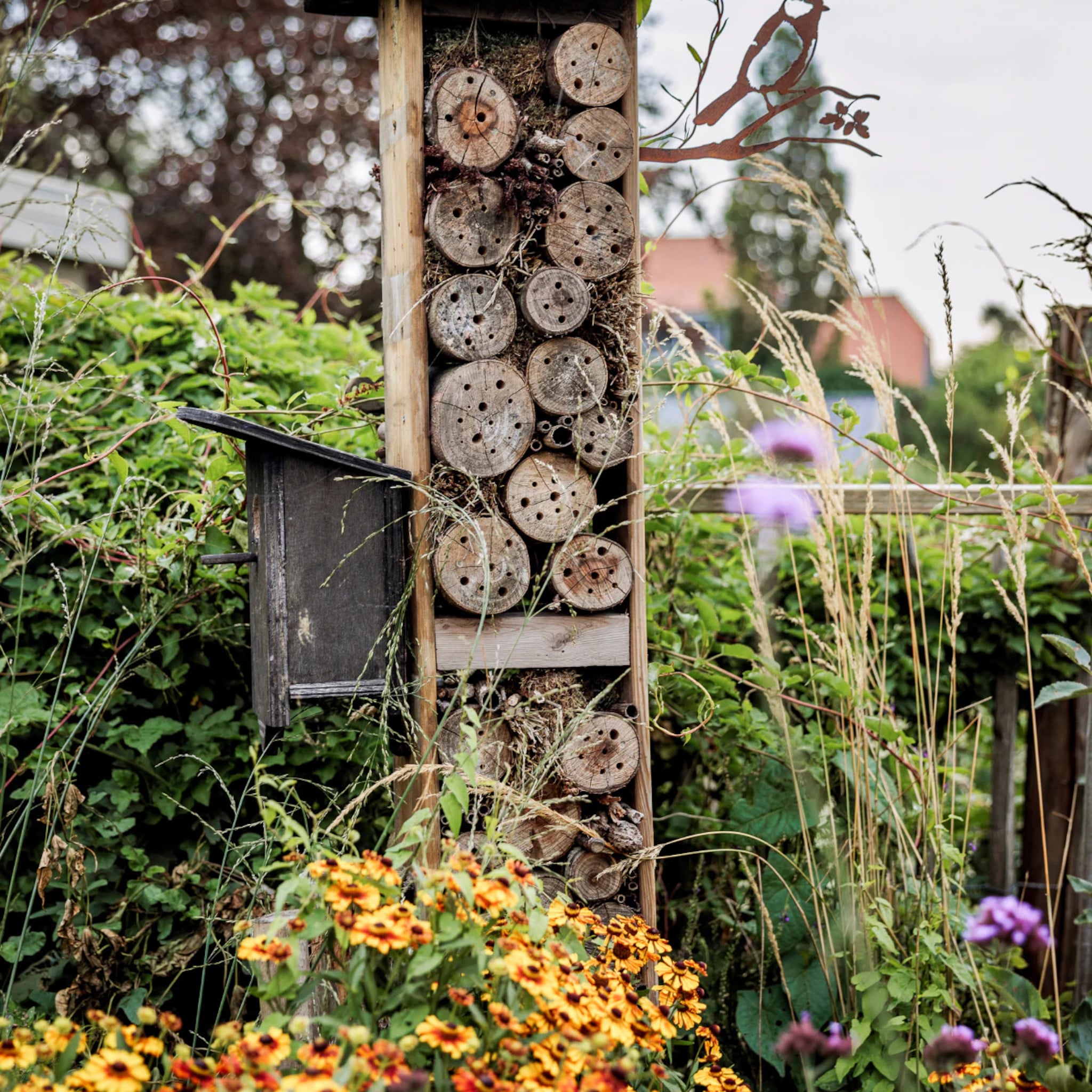 zo zorg je voor diervriendelijke tuin