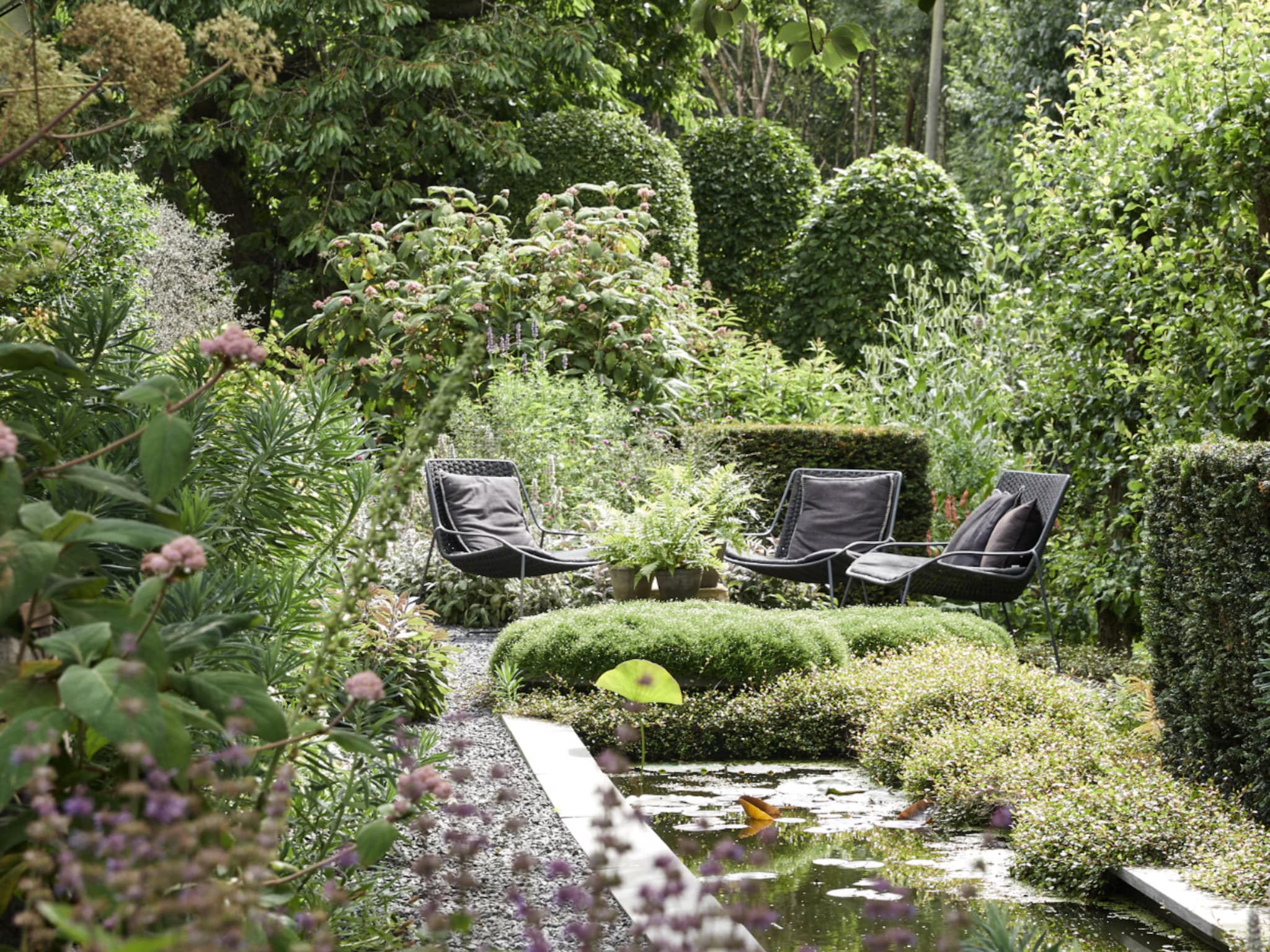 ontdek de nature drenching trend