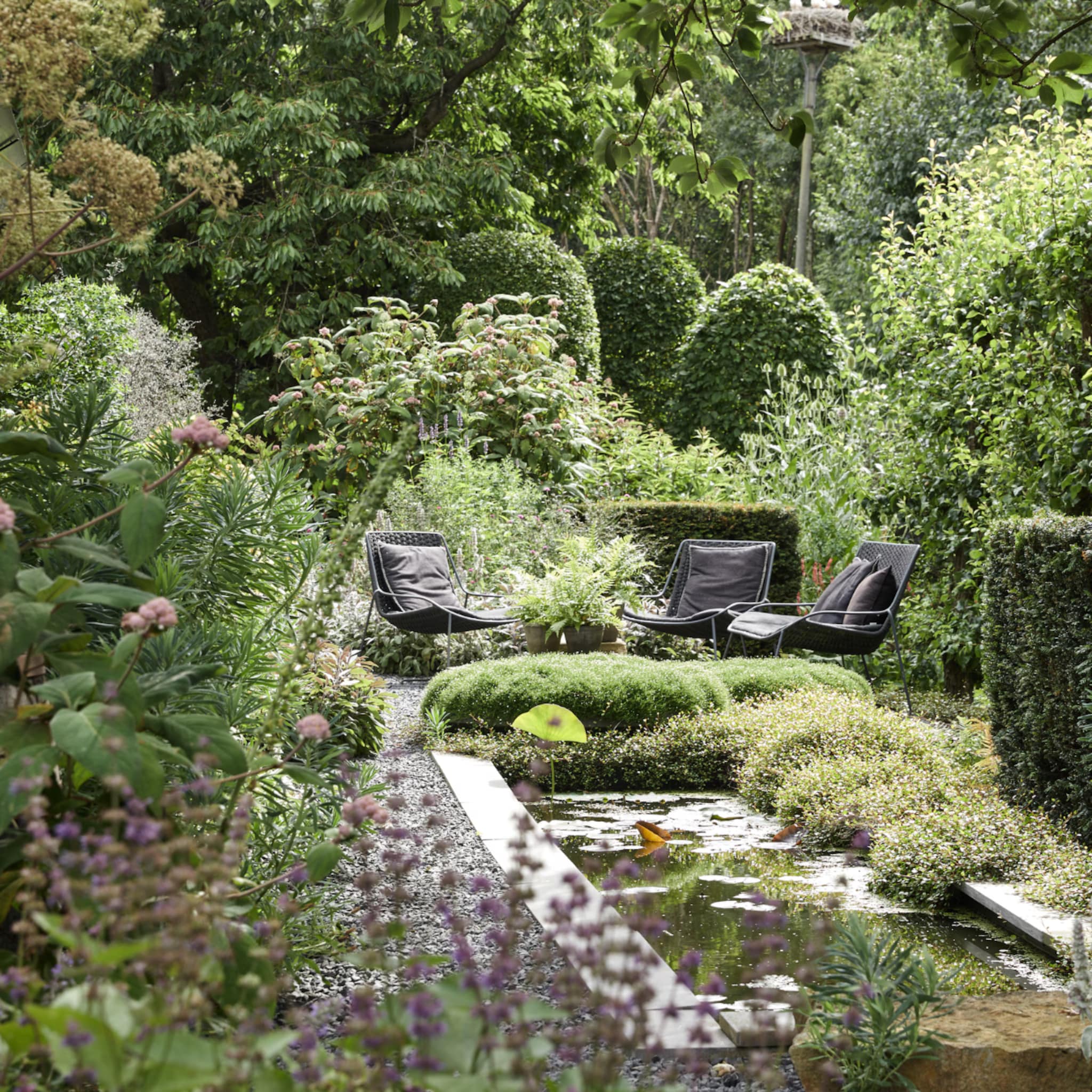 ontdek de nature drenching trend