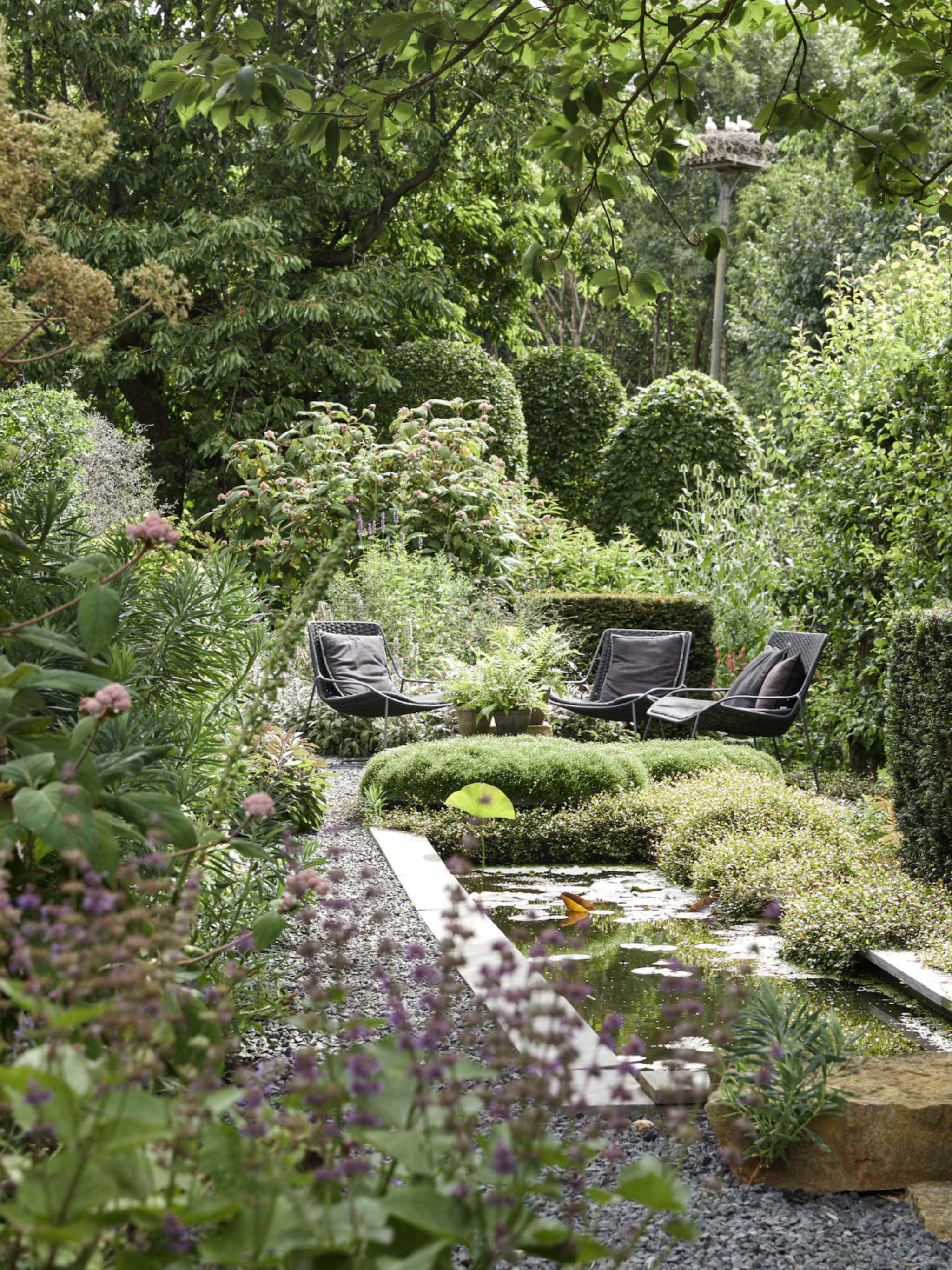 ontdek de nature drenching trend