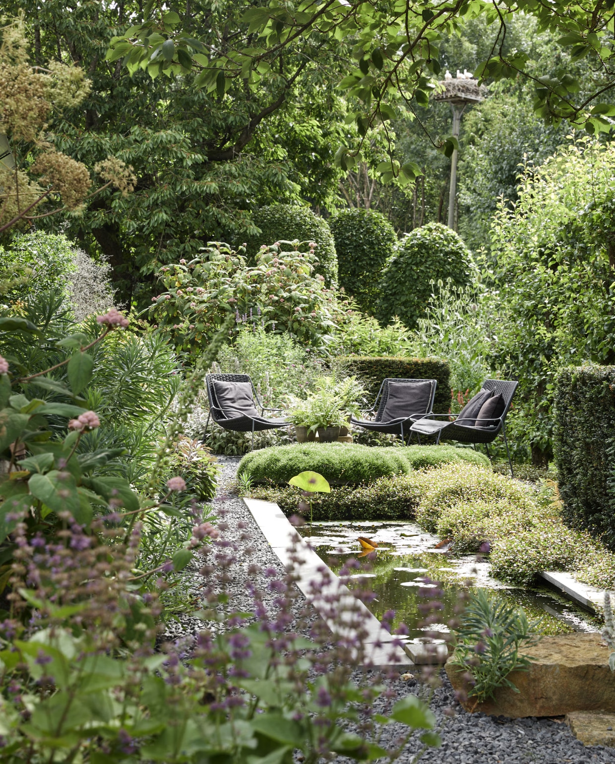Stoelen Max en Luuk. Planten: draadstruik (Muehlenbeckia Axillars), fluweelhortensia (Hydrangea Sargentiana), struikwolfsmelk (Euphorbia Characias).