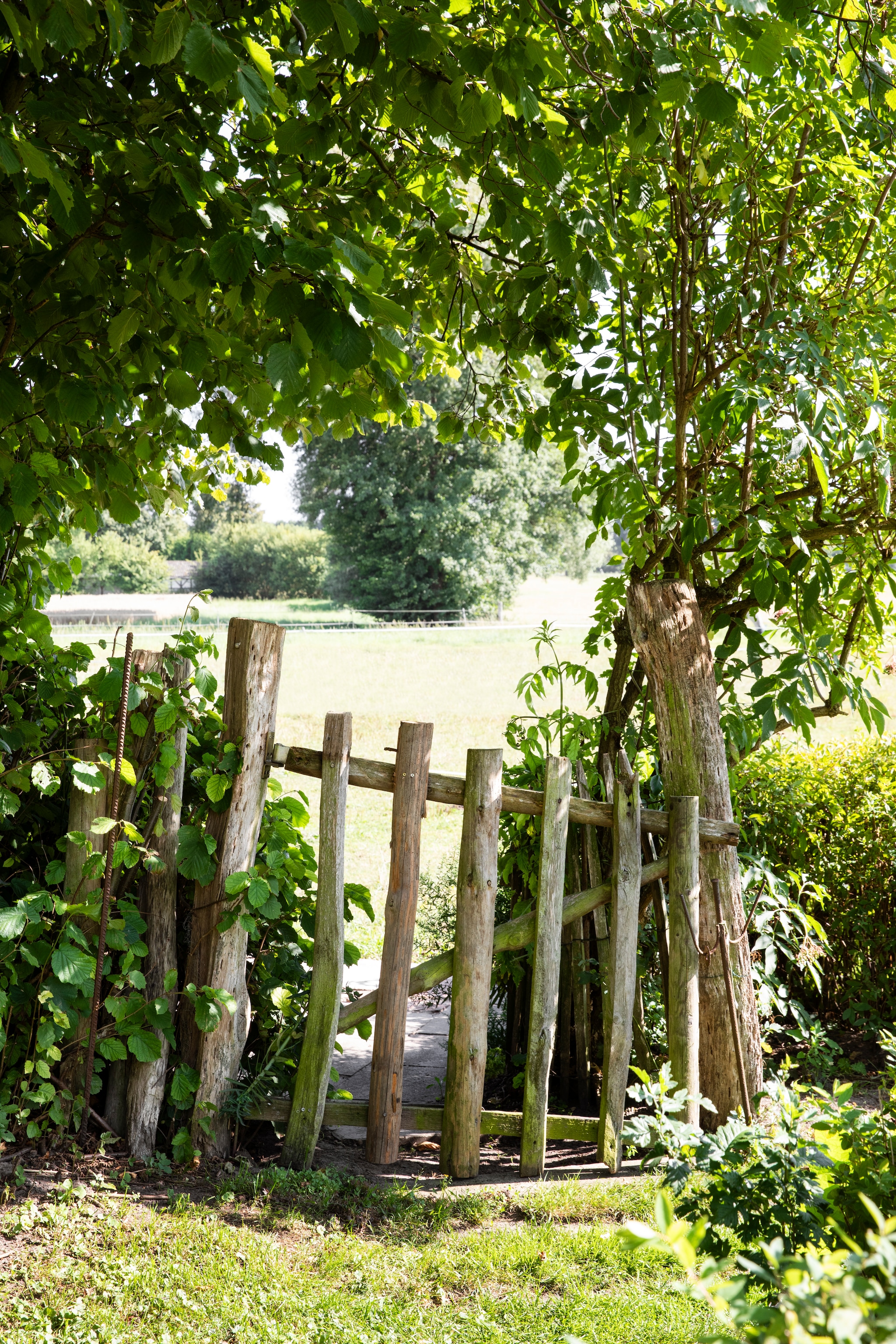 Tuinpoort zelf getimmerd van resthout van de renovatie. vtwonen Landelijk 07-2026 | Styling Miriam Hannemann | Fotografie André Reuter
