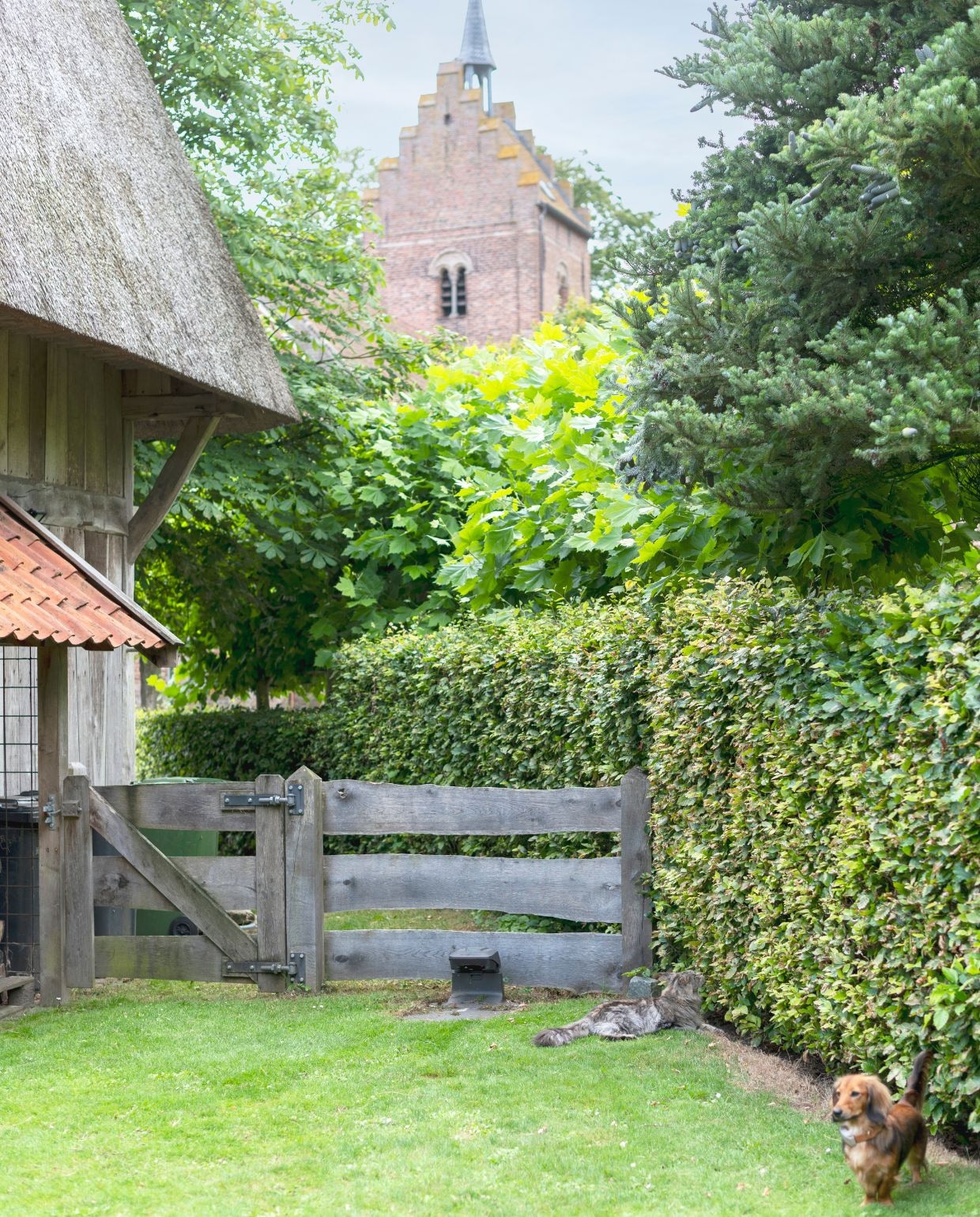 Het huis van Judith en Martijn staat samen met andere oude boerderijen en monumentale panden rond de middeleeuwse kerk. vtwonen Landelijk 03-2026 | fotografie Suzanne Paap