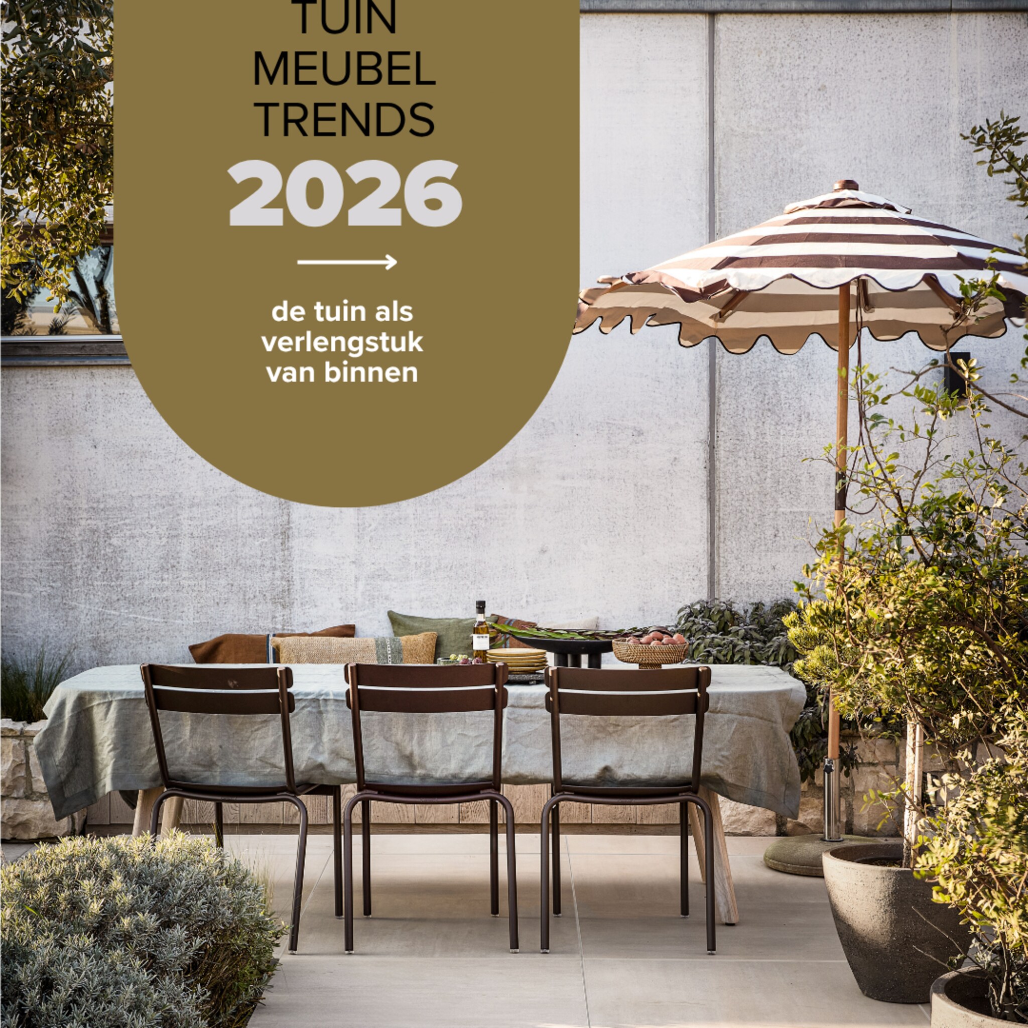 linkinbio-20260516-shop-tuintrends