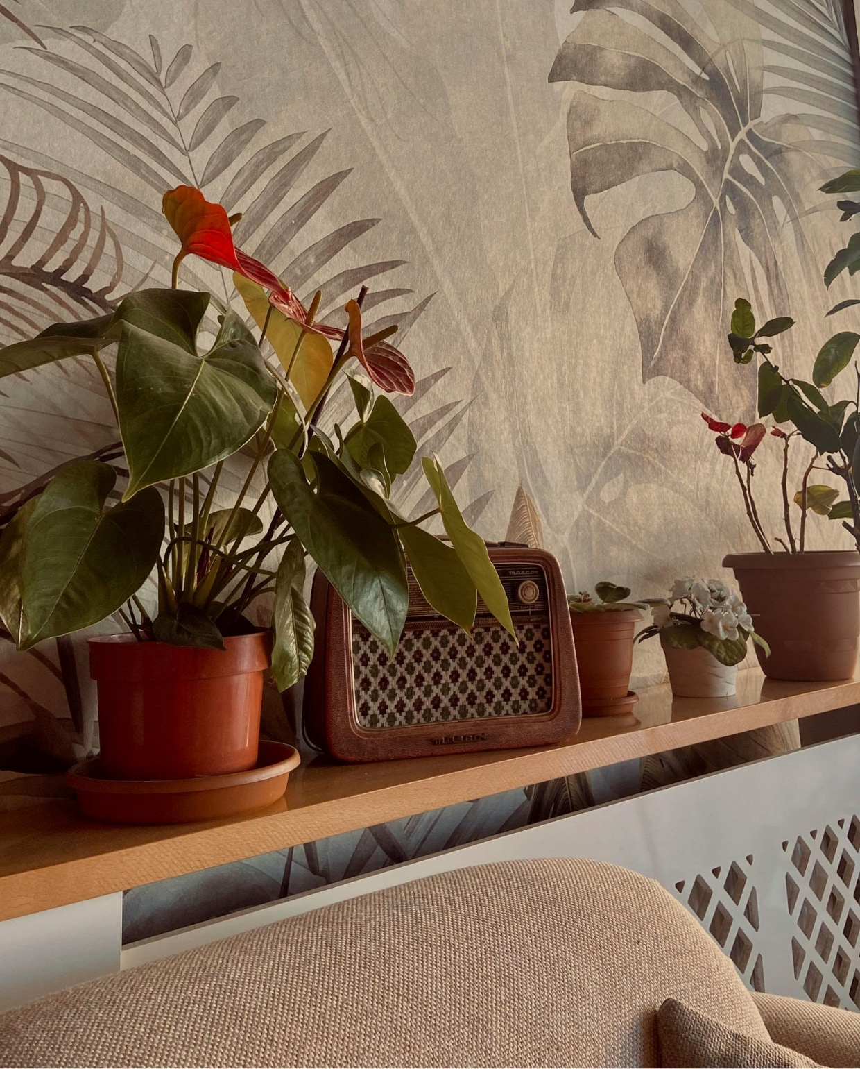Botanisch behang foto via pexels.com
